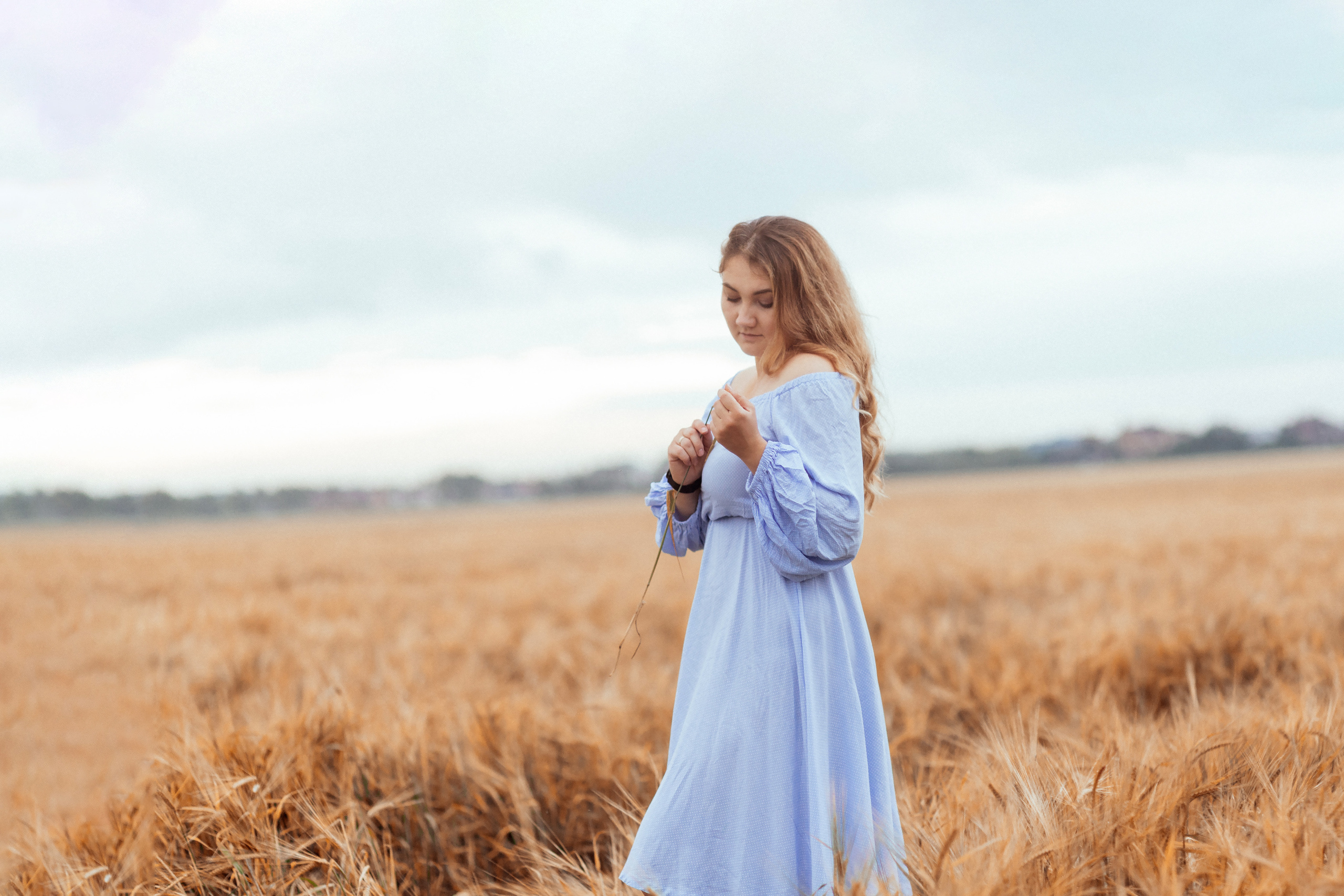 Семейная фотосессия в поле 🌾. Семейный фотограф Ирис Сенченко