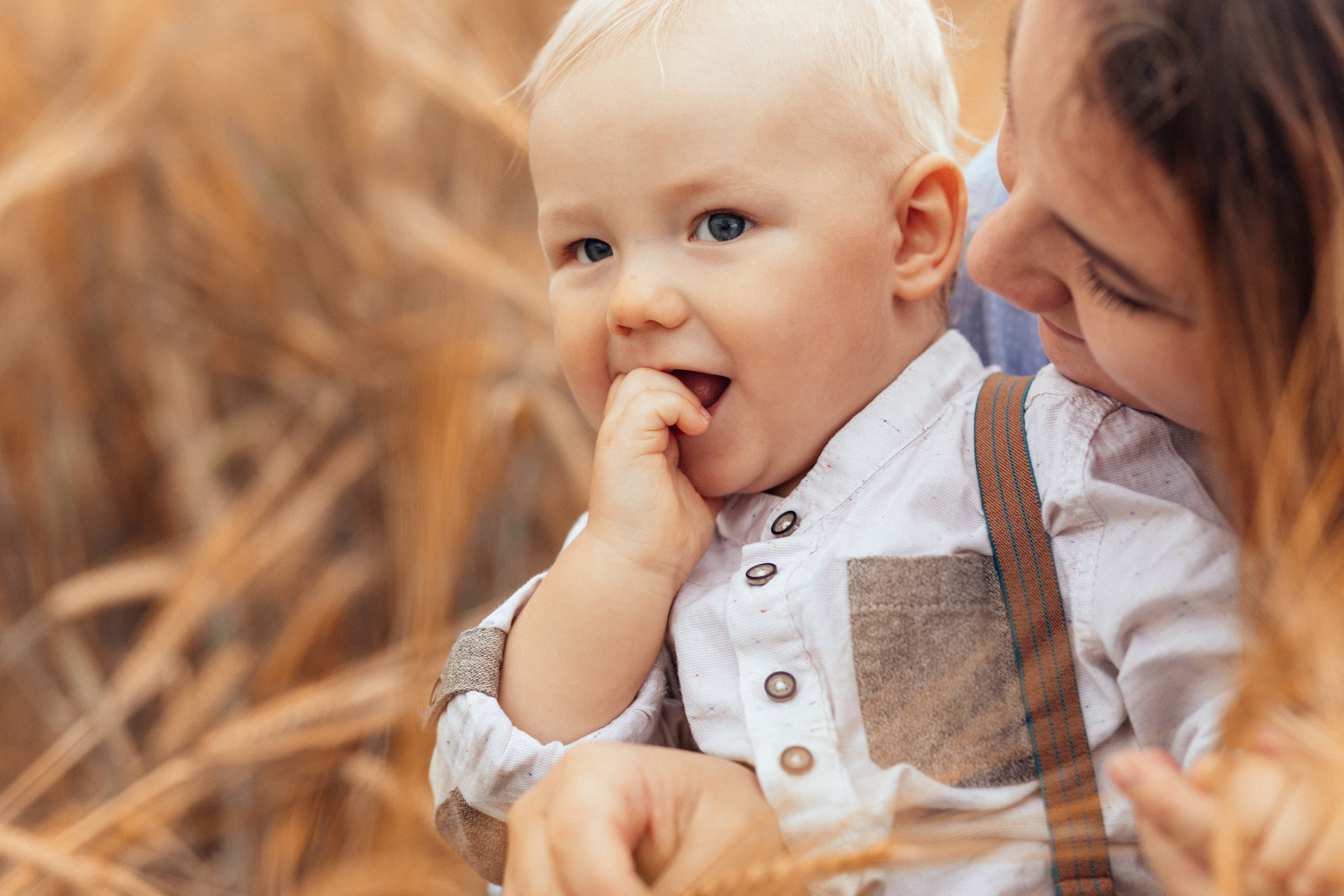 Семейная фотосессия в поле 🌾. Семейный фотограф Ирис Сенченко
