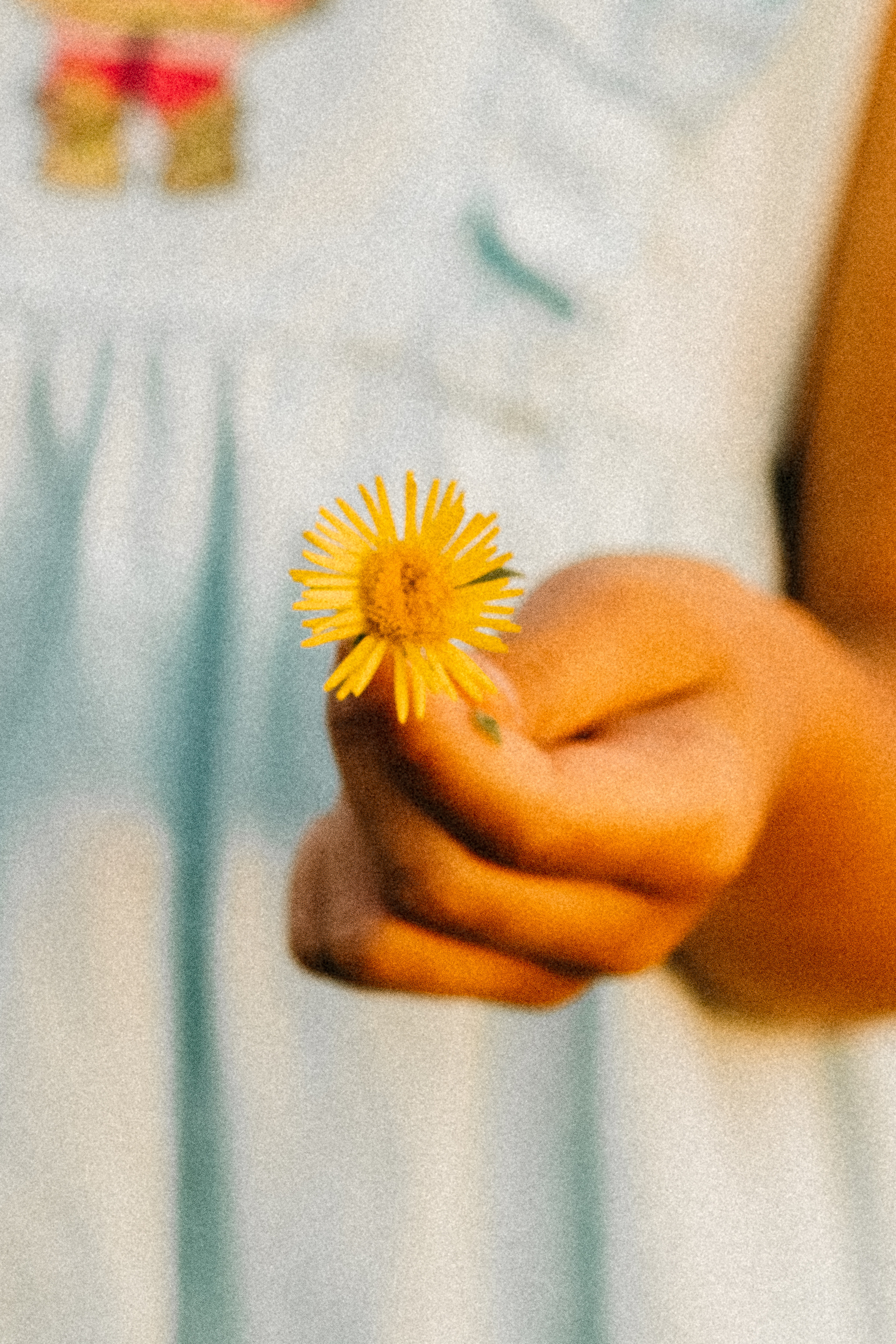 СЕМЕЙНАЯ ФОТОПРОГУЛКА 👨‍👩‍👧‍👦 ПАРФИНО. Семейный фотограф Ирис Сенченко