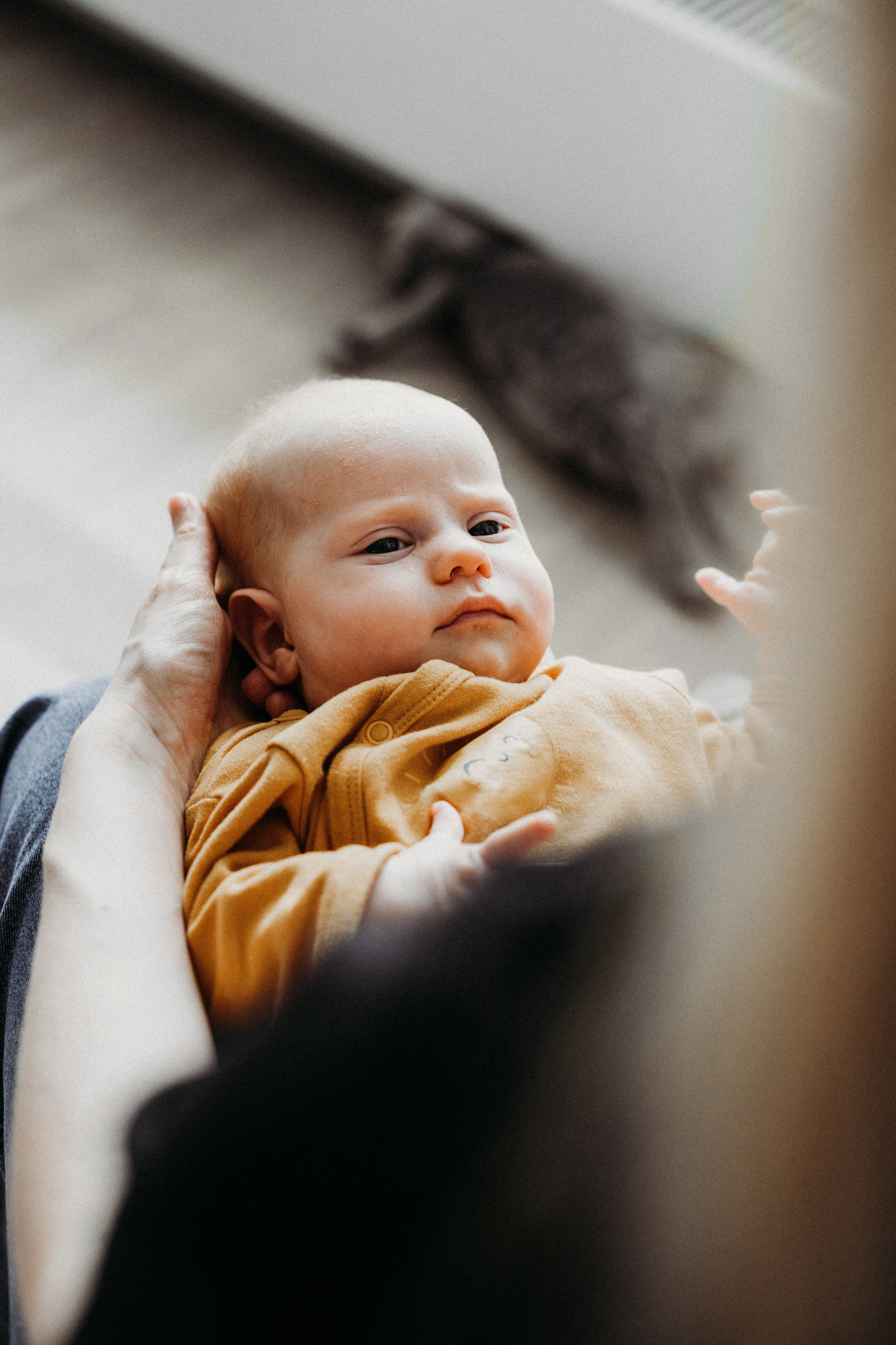 ДОМАШНЯЯ СЪЁМКА👨‍👩‍👧‍👦 МОСКВА. Семейный фотограф Ирис Сенченко