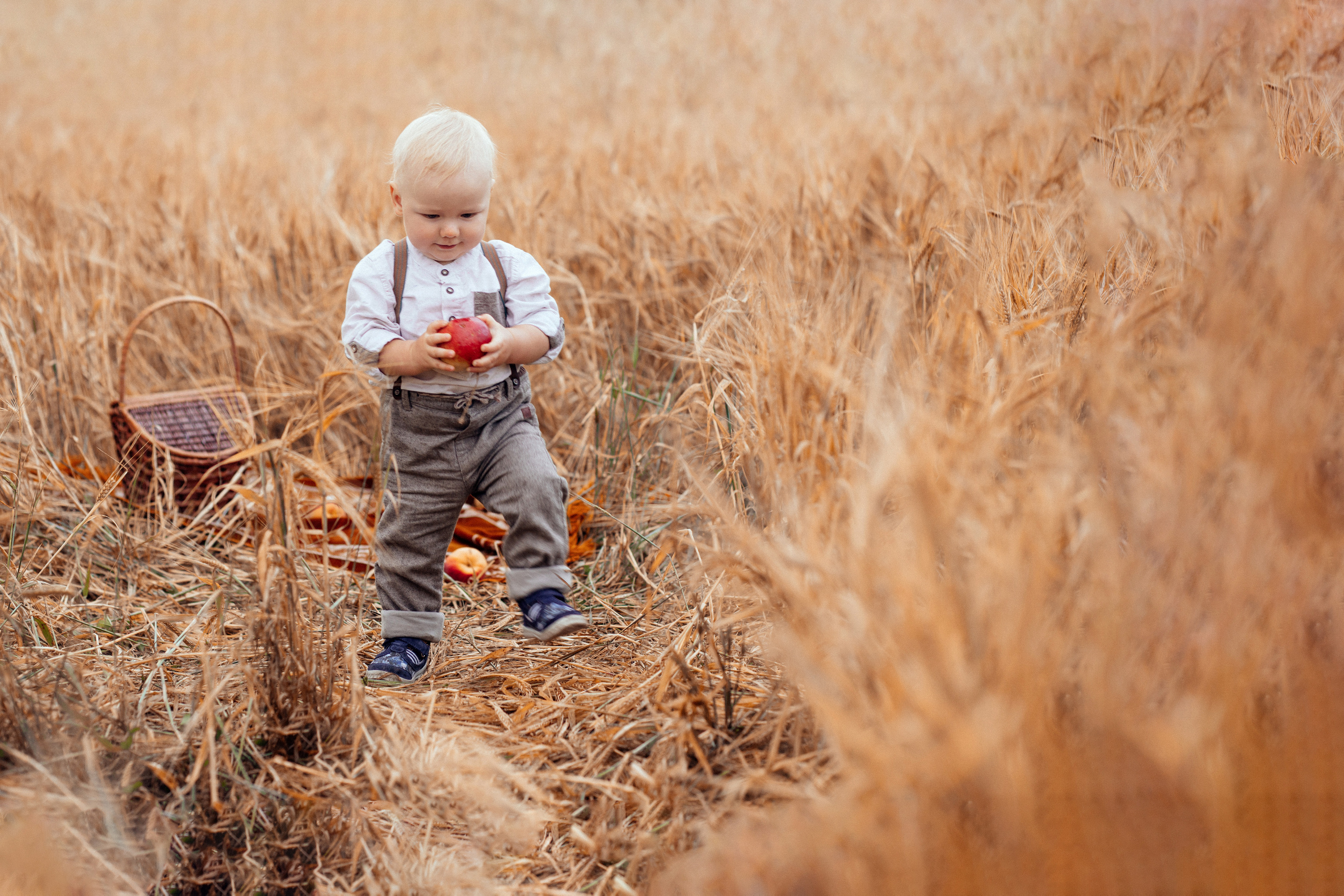 Семейная фотосессия в поле 🌾. Семейный фотограф Ирис Сенченко