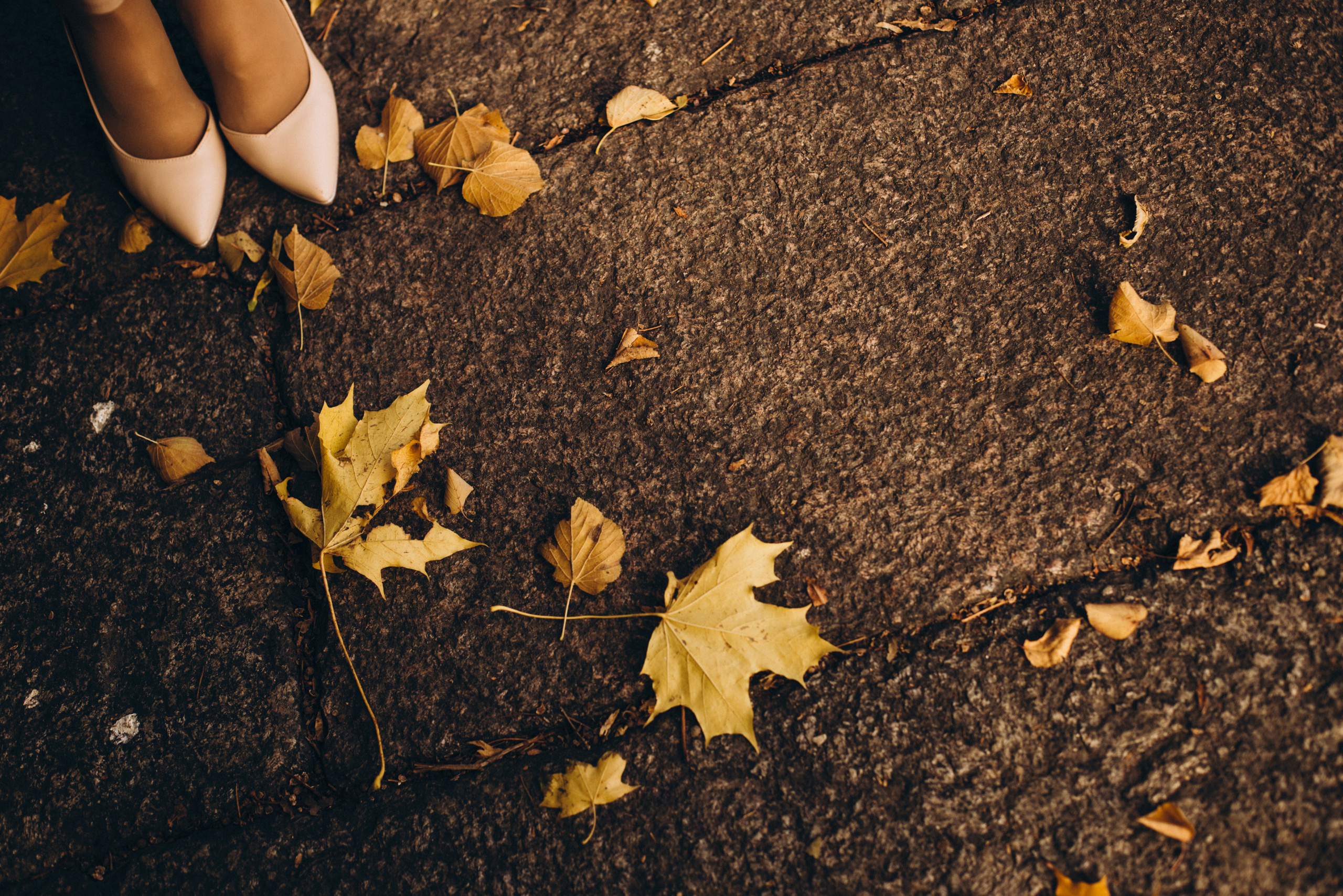 АРИНА. Семейный фотограф Ирис Сенченко