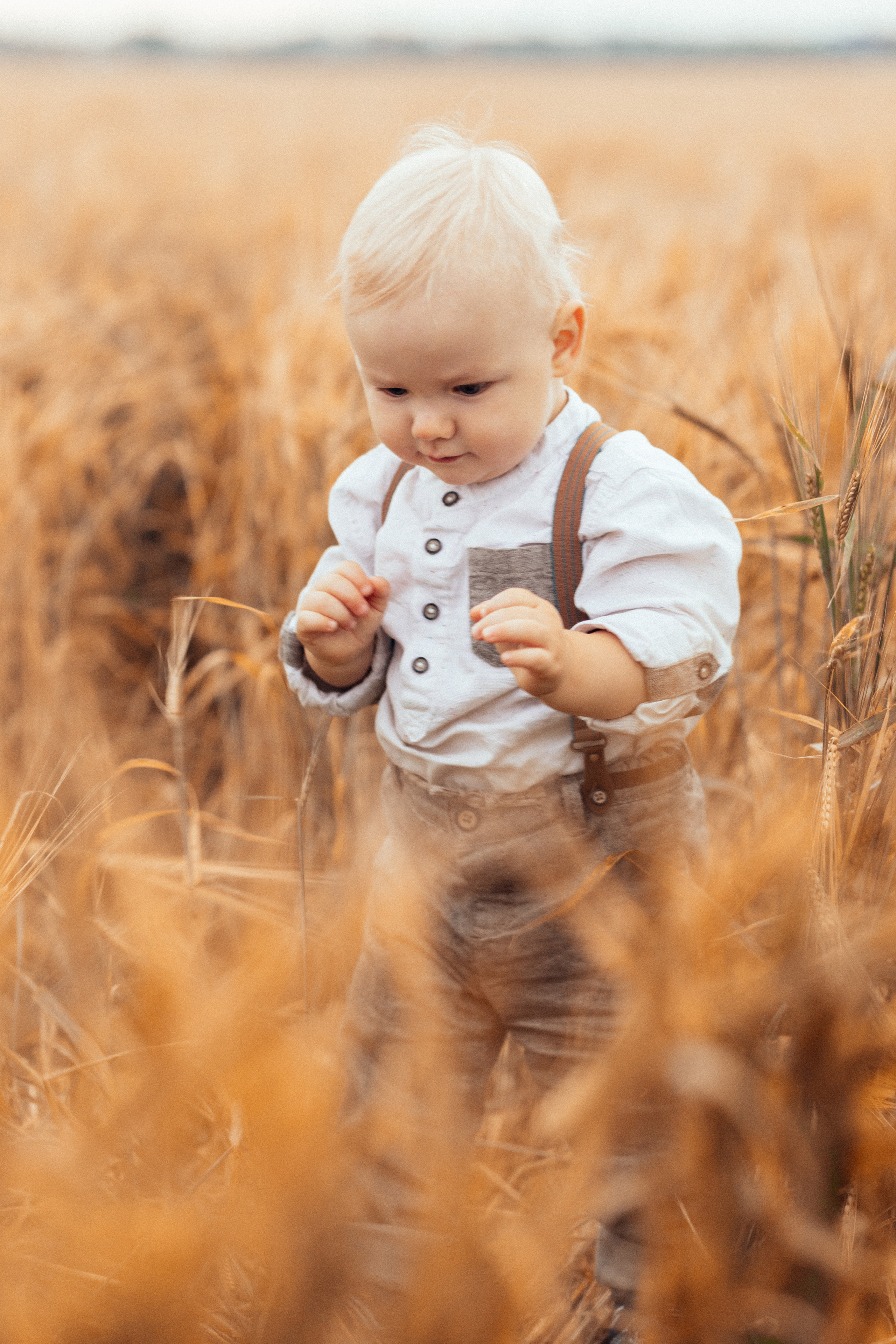 Семейная фотосессия в поле 🌾. Семейный фотограф Ирис Сенченко