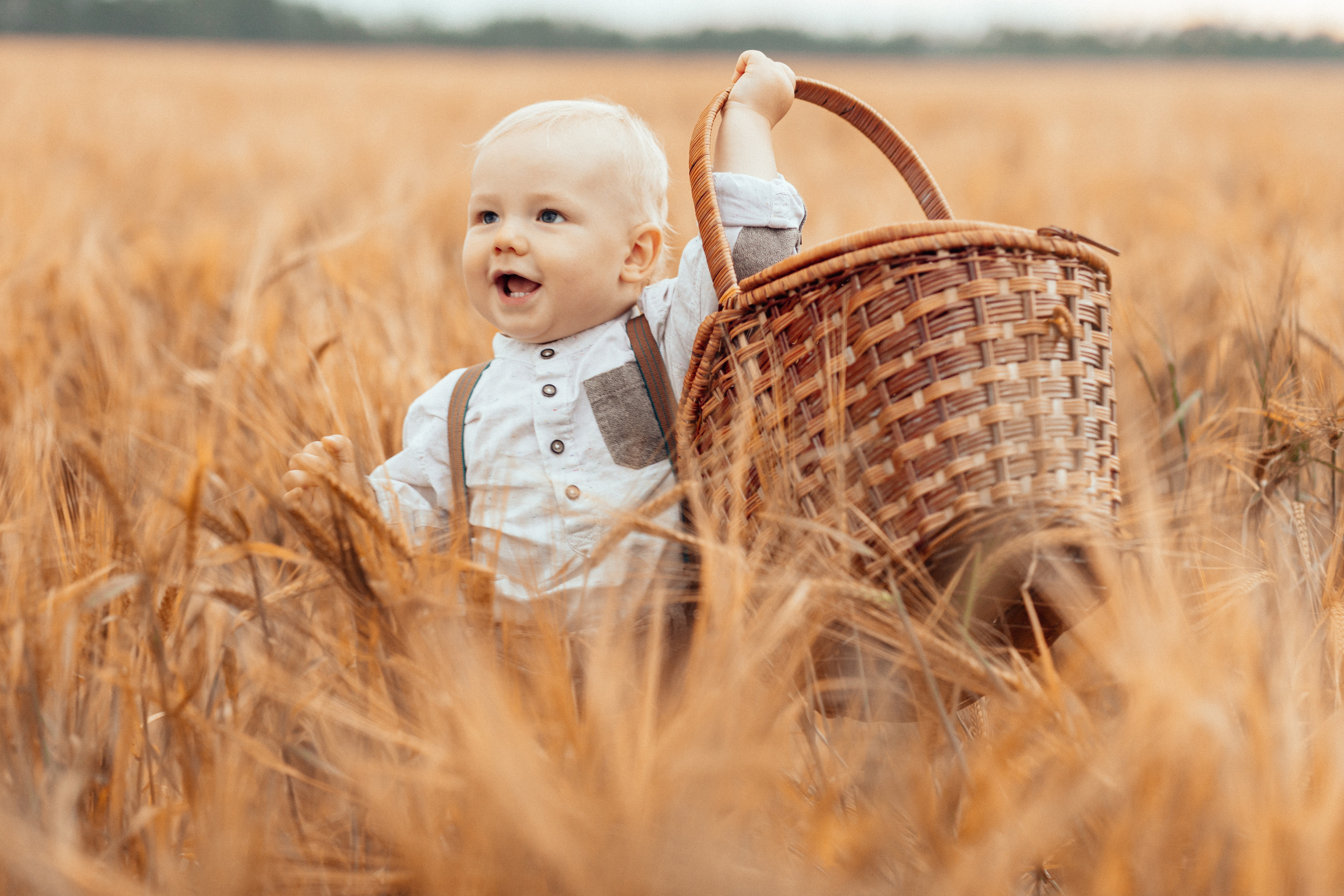 Семейная фотосессия в поле 🌾. Семейный фотограф Ирис Сенченко