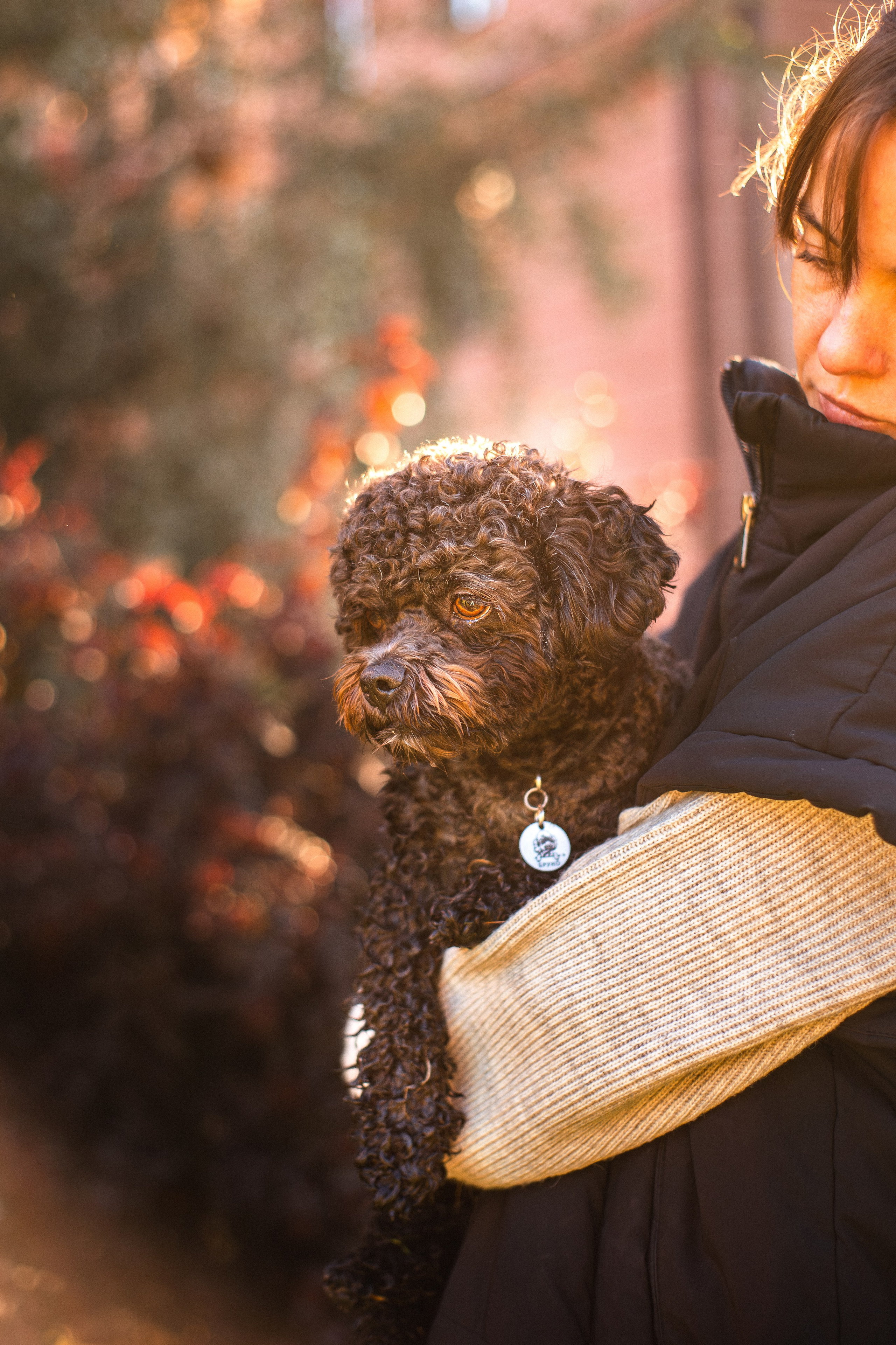 Анна и Бруно. Фотограф-анималист Мария Баркевич | Москва