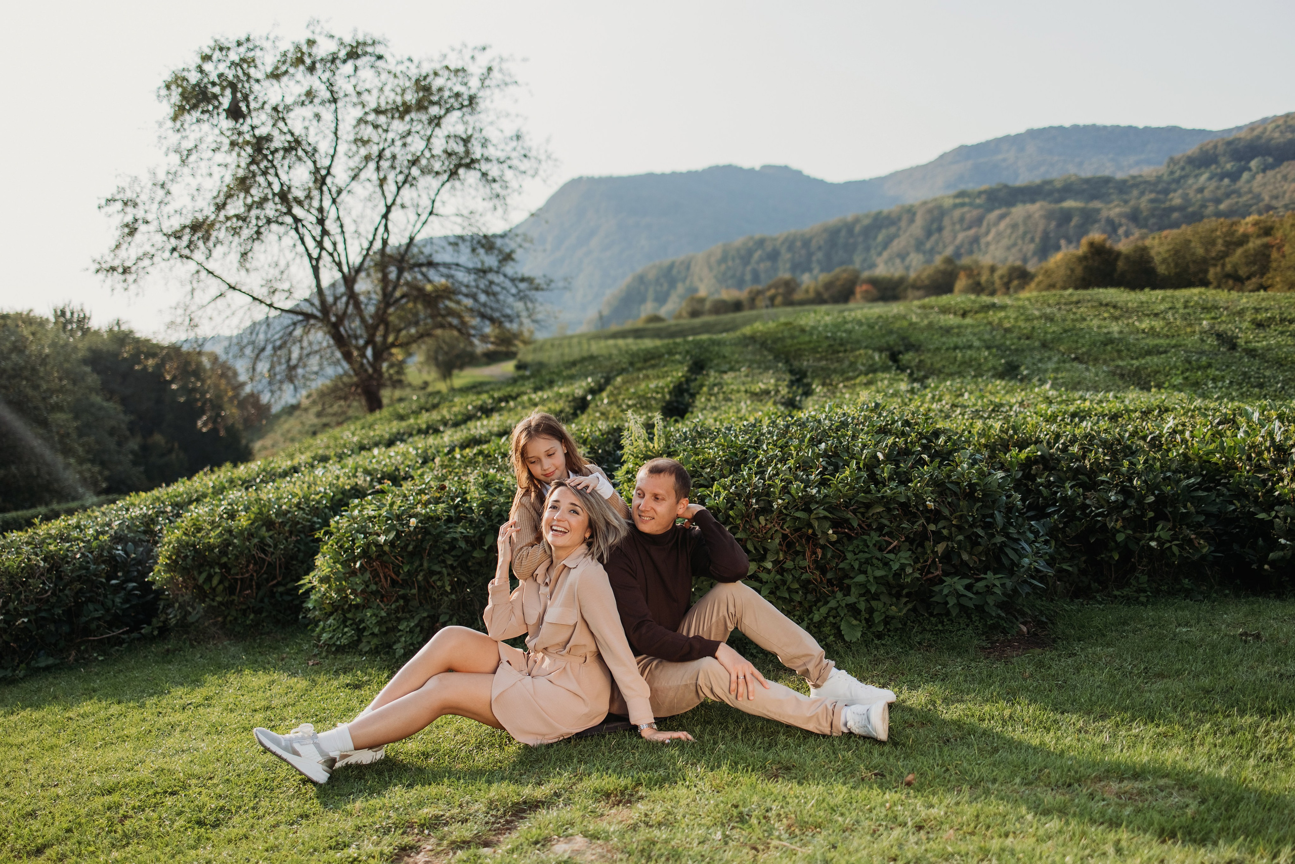 Чайные плантации мацеста. Фотограф Сочи Татьяна Зорина