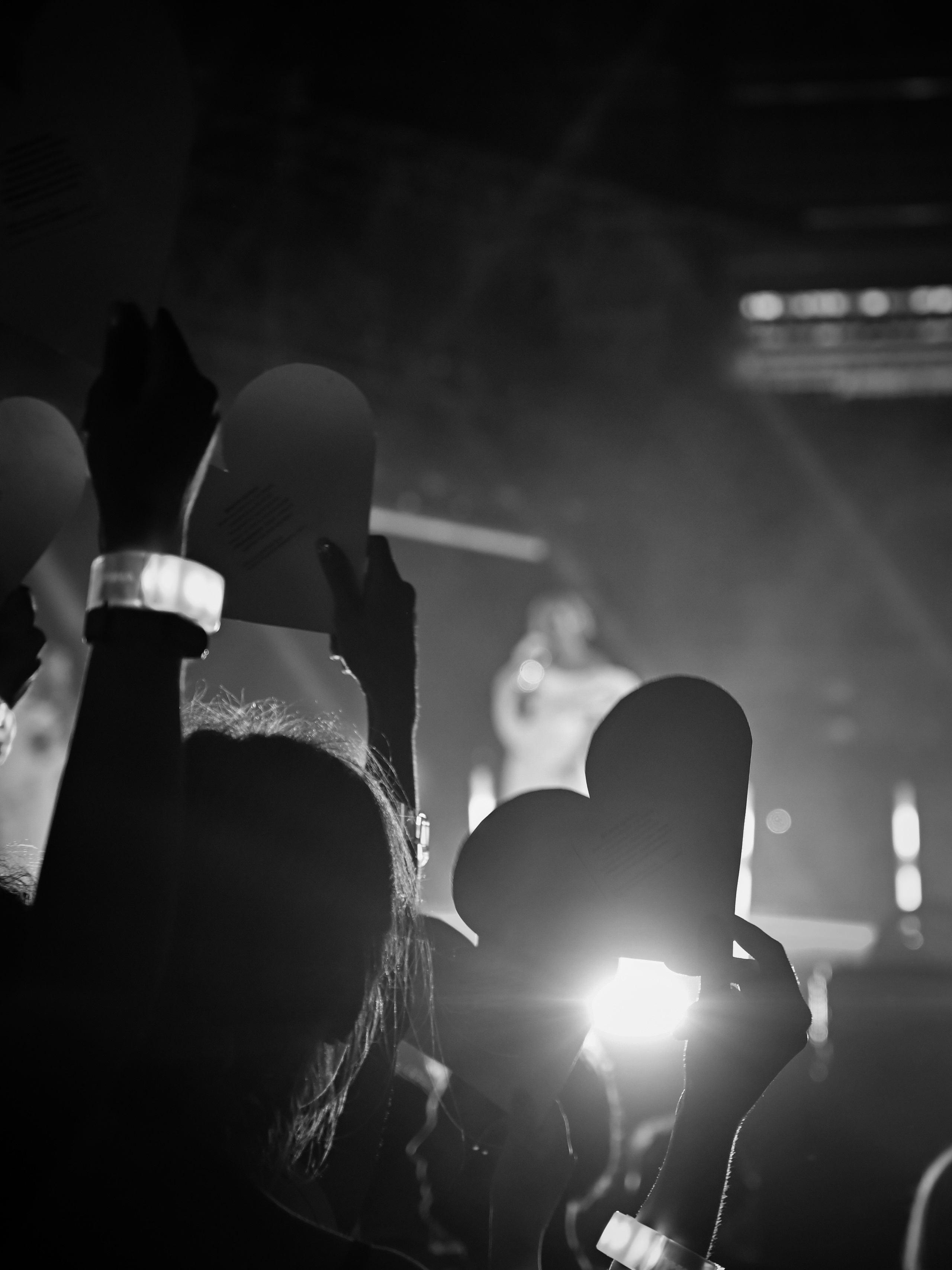 Полина Гагарина шоу Лужники