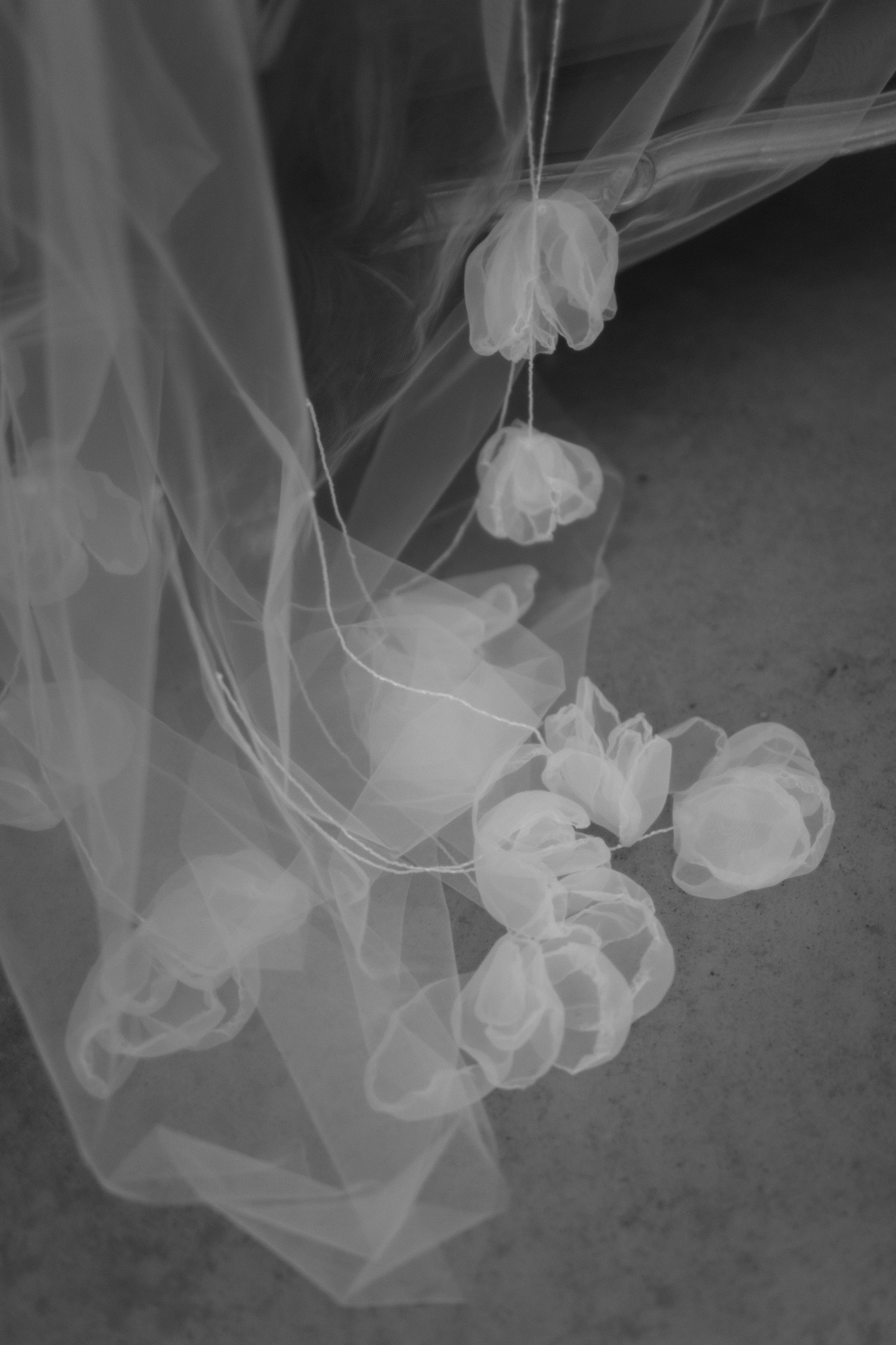 Полина & Евгений. Свадебный и семейный фотограф в Красноярске