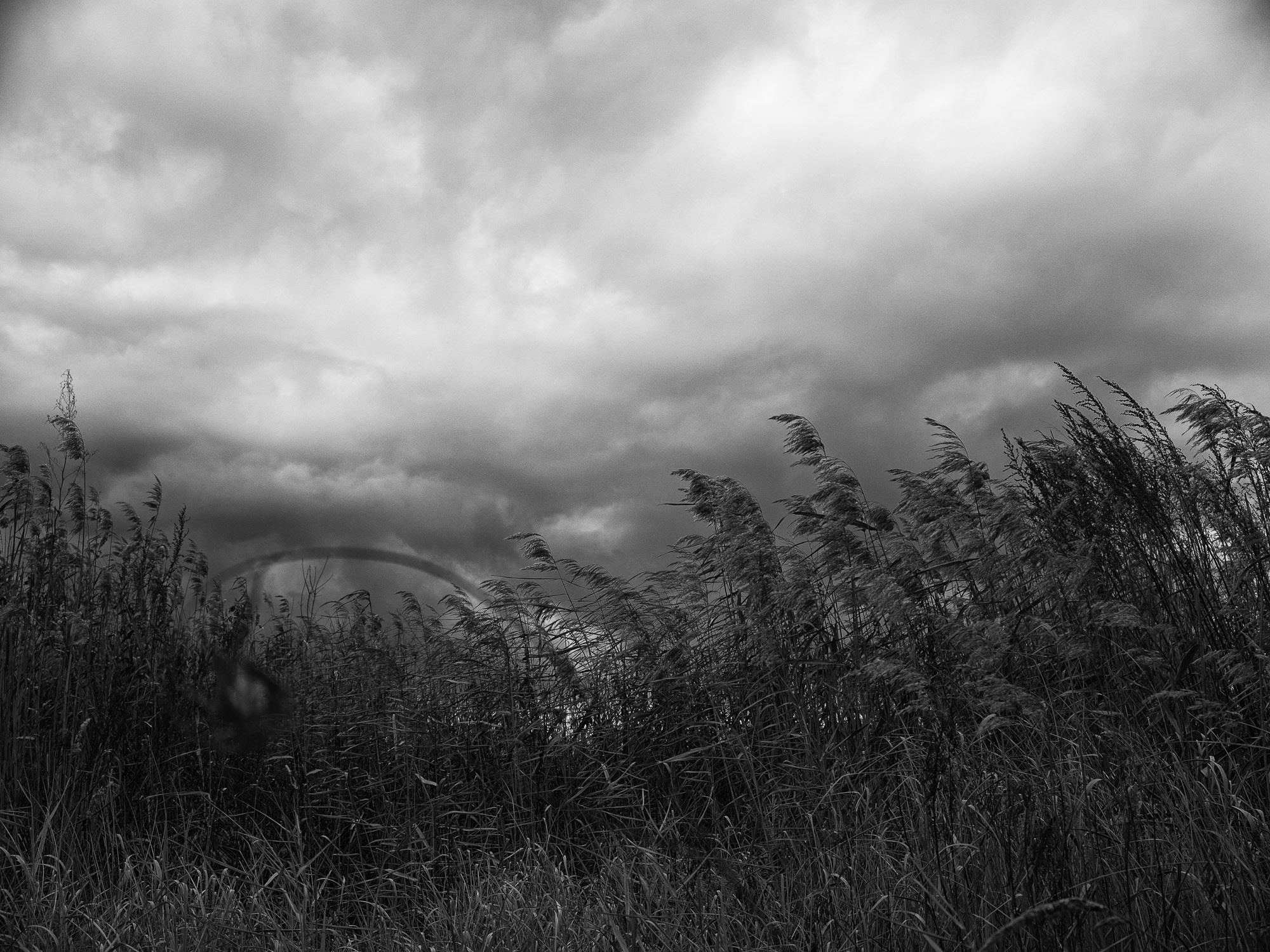 Фотограф Константин Ясинский