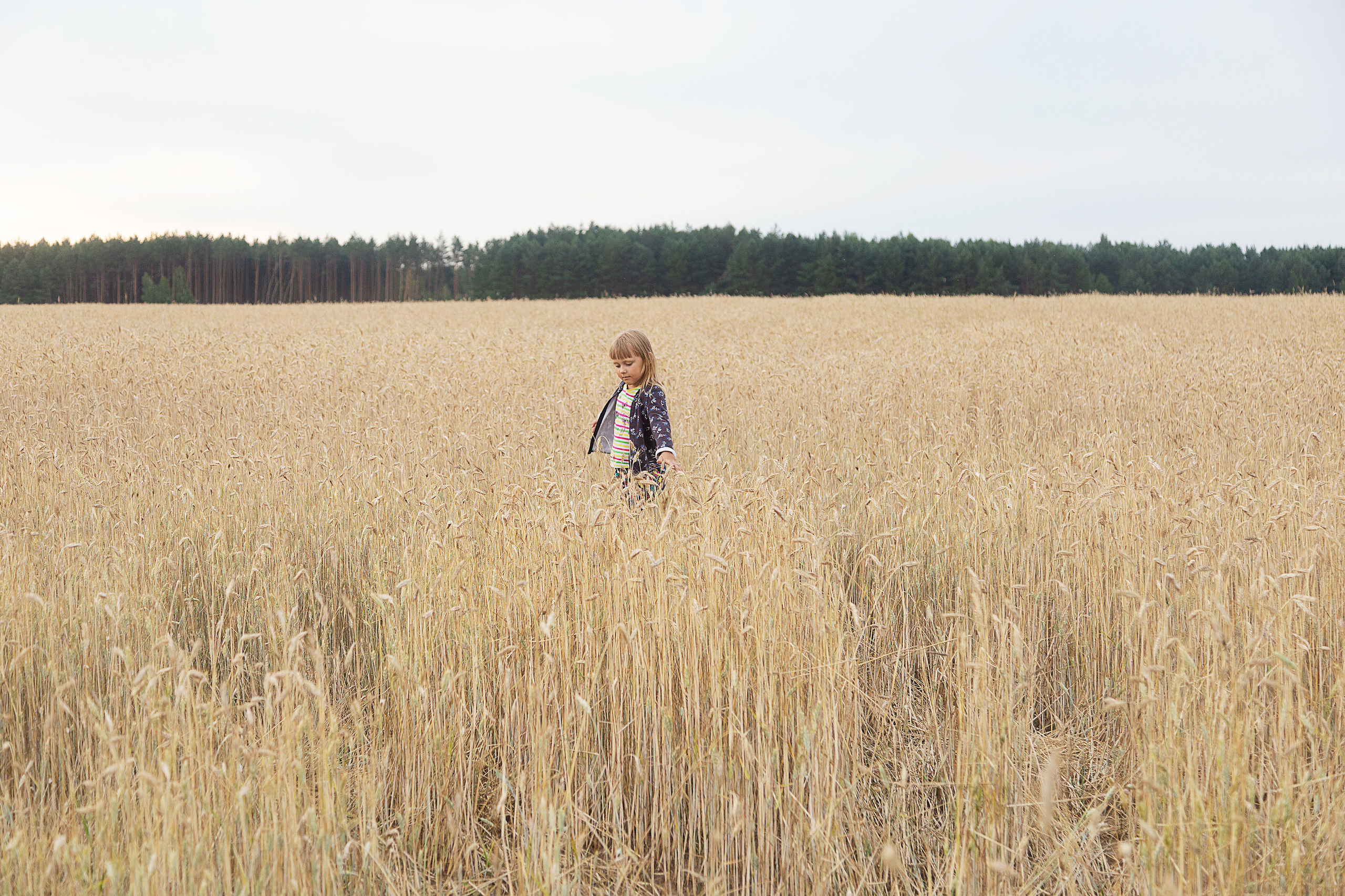 Лето…маленькая жизнь… ч1. Свадебный фотограф