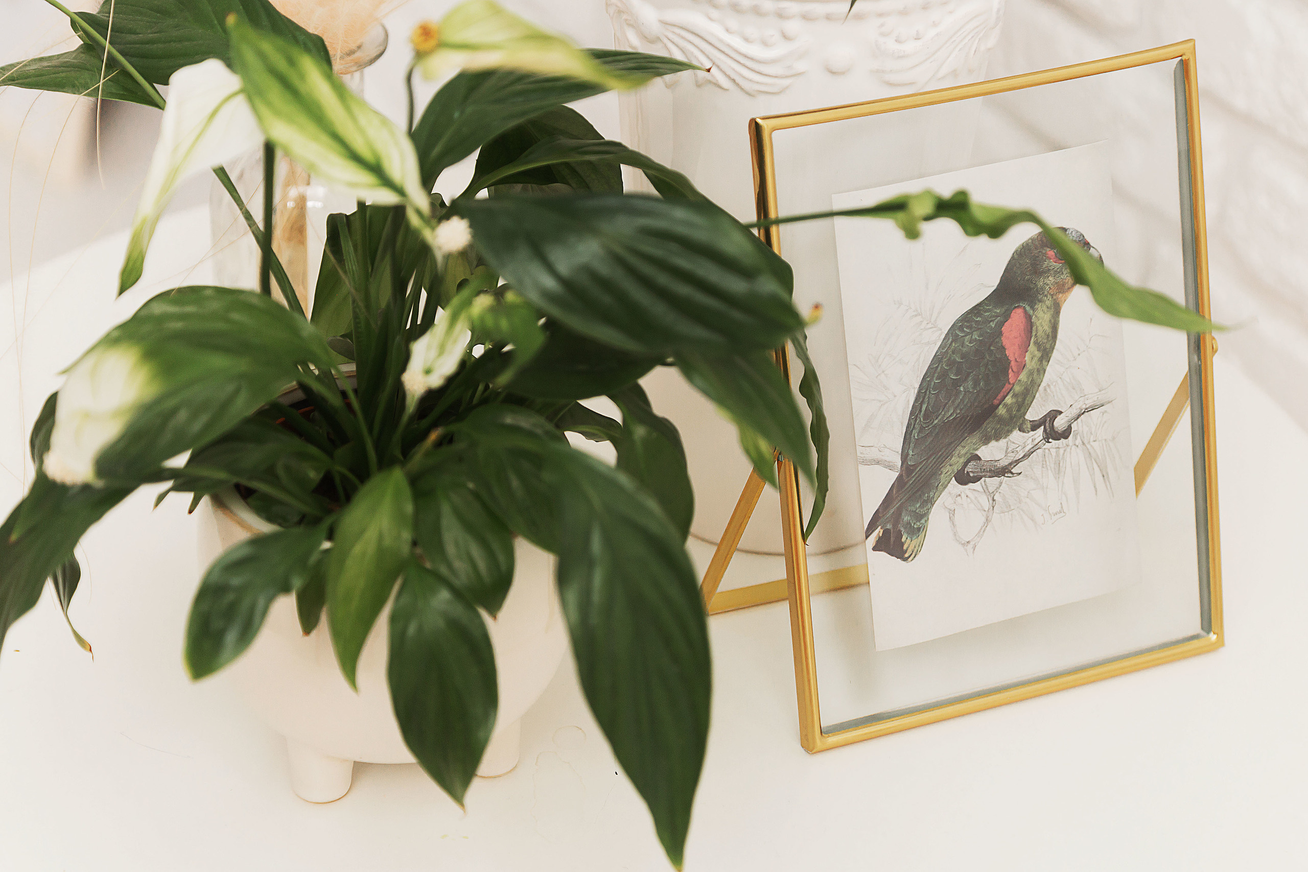 В ожидании… Татьяна и Андрей. Свадебный фотограф