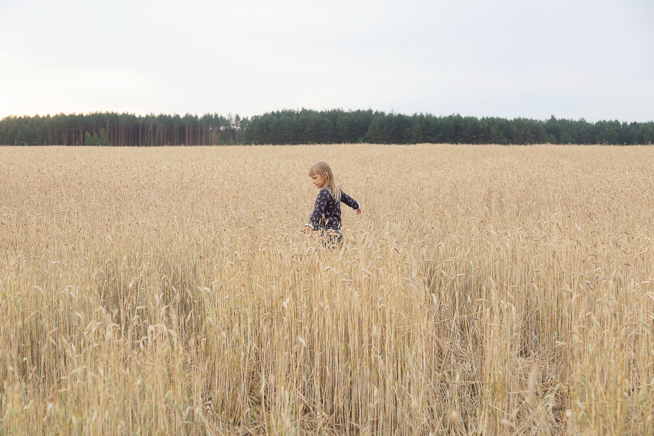 Лето…маленькая жизнь… ч1. Свадебный фотограф