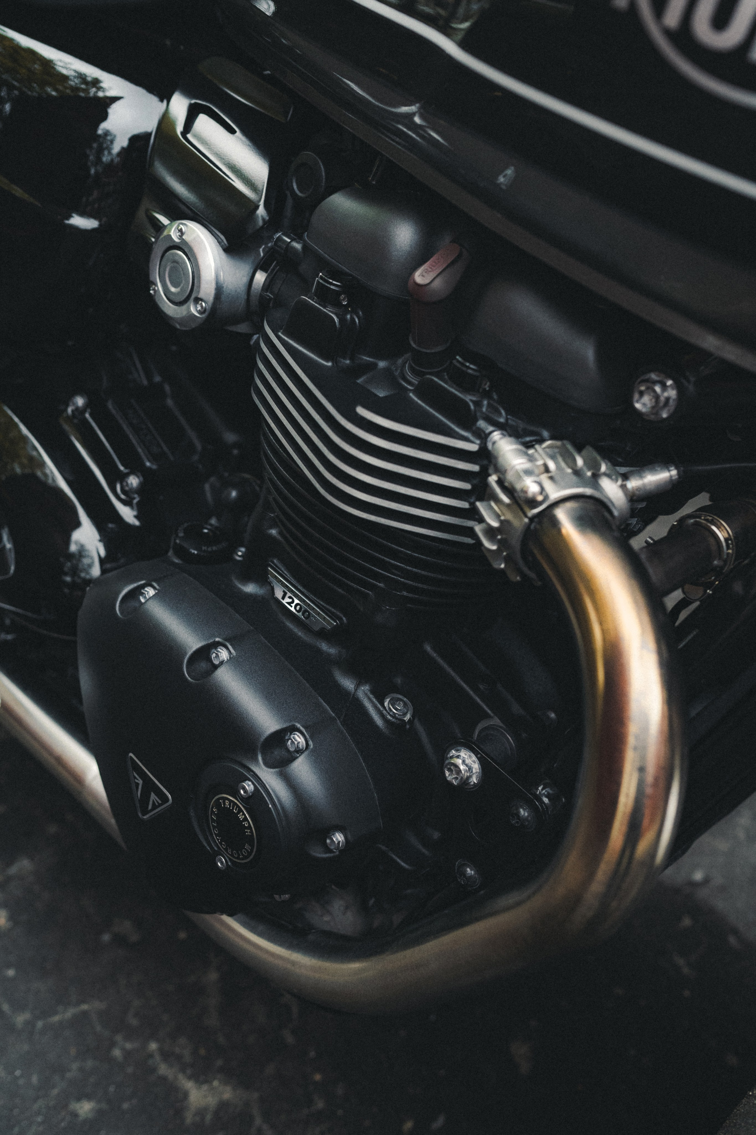 Triumph Speed Twin 1200 x Serge. Фотограф Илья К. в Москве