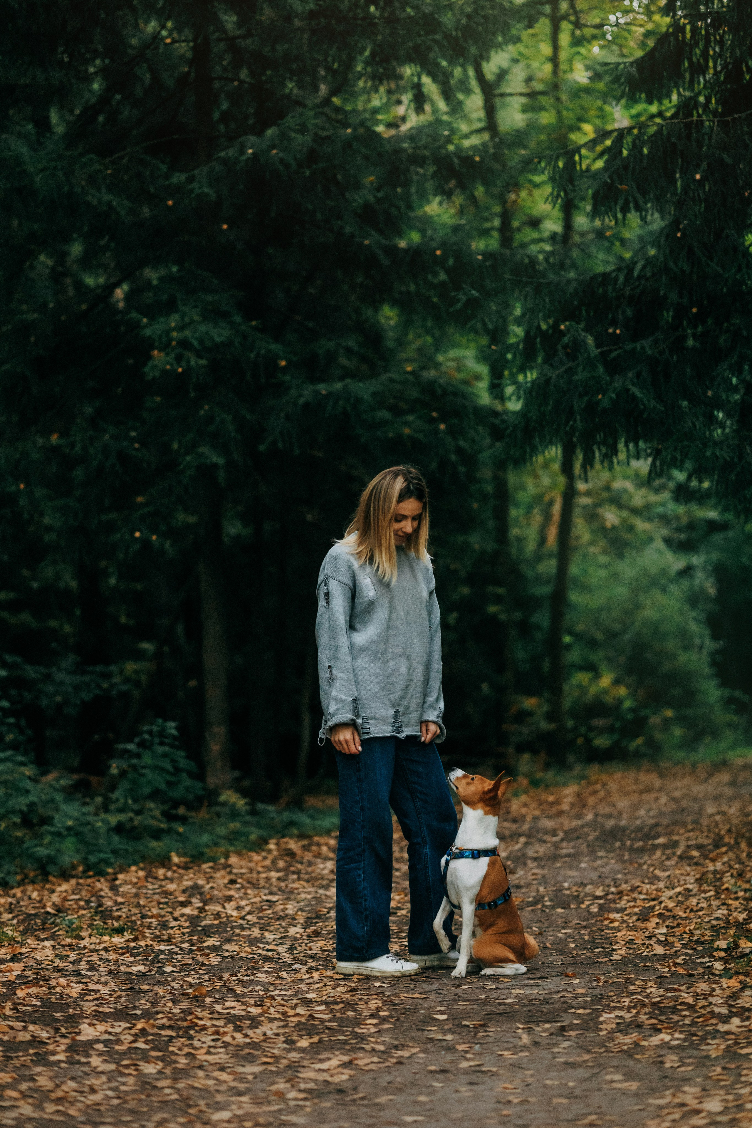 Лена и Джин. Фотограф-анималист Елена Радченко, Москва