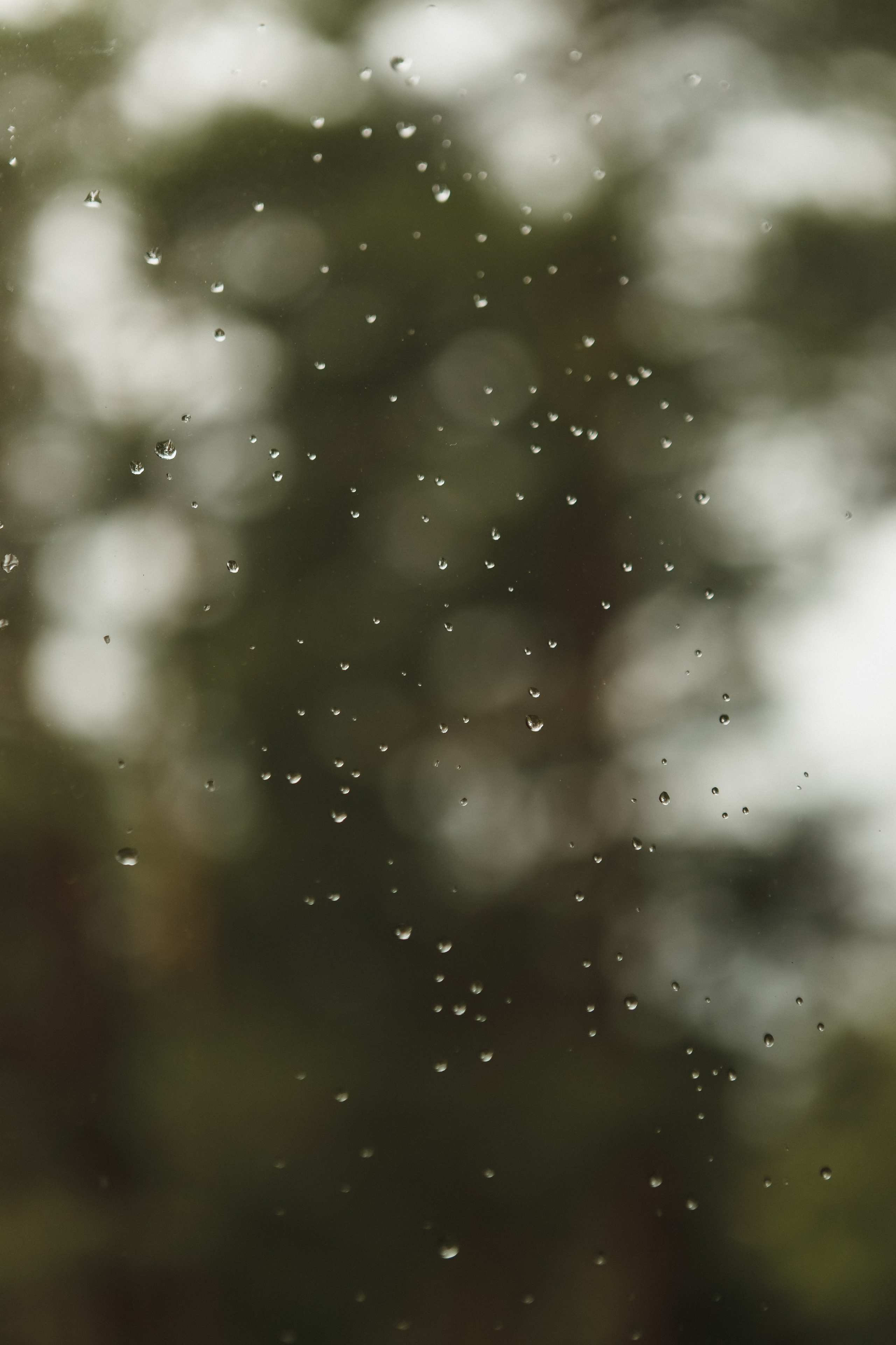 Времена года (Полный день). Семейный и свадебный фотограф в Нижнем Новгороде