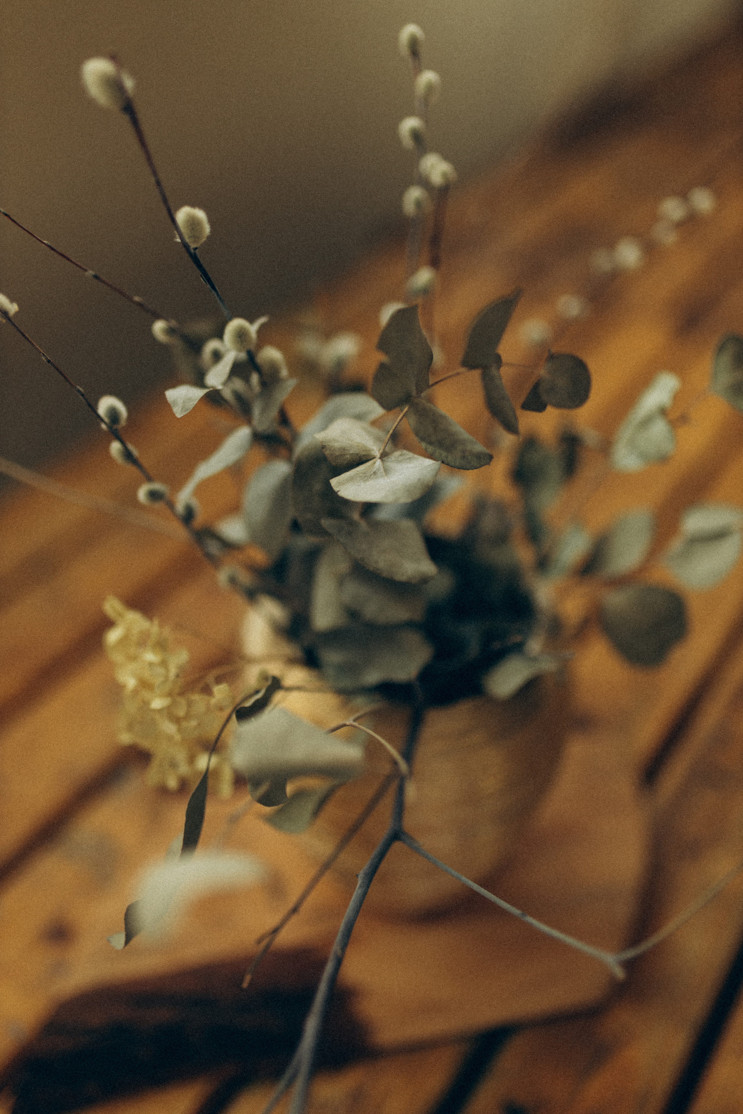 Аня, Тимофей ♡. Семейный фотограф Оля Гладченко