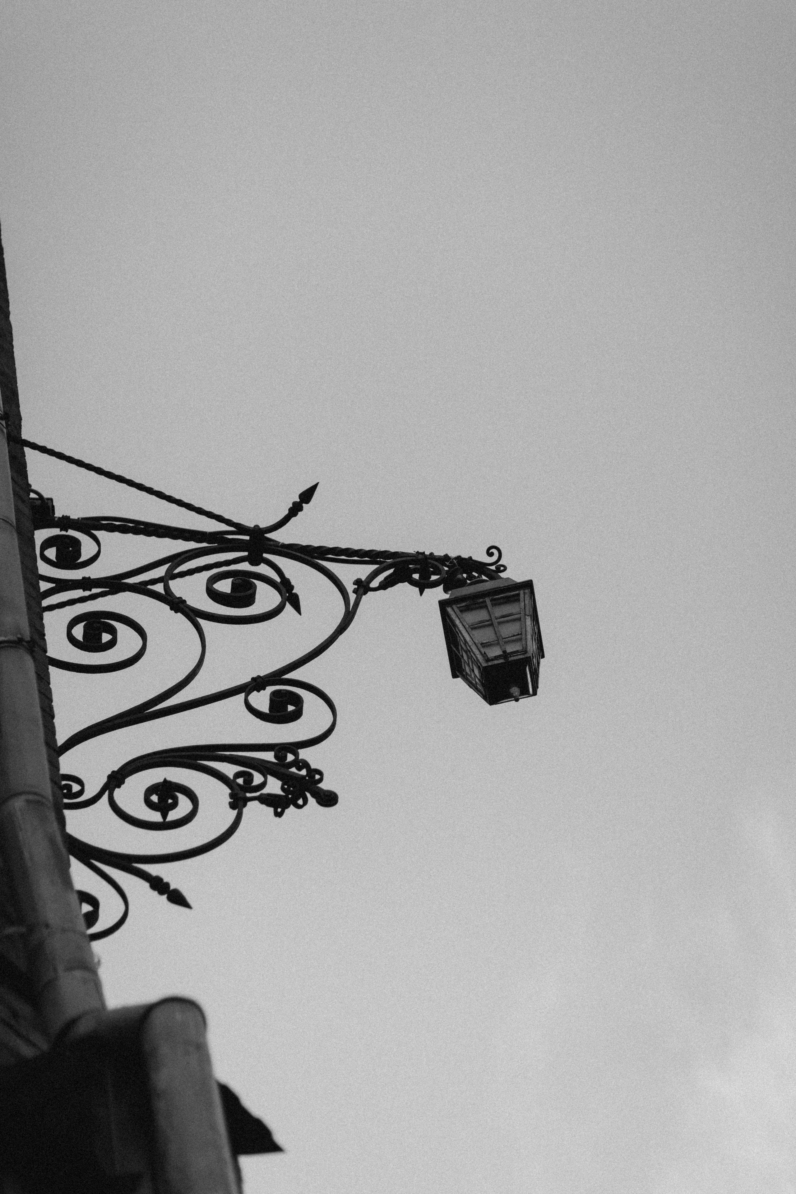 Аксения, Оливия. Семейный фотограф Оля Гладченко