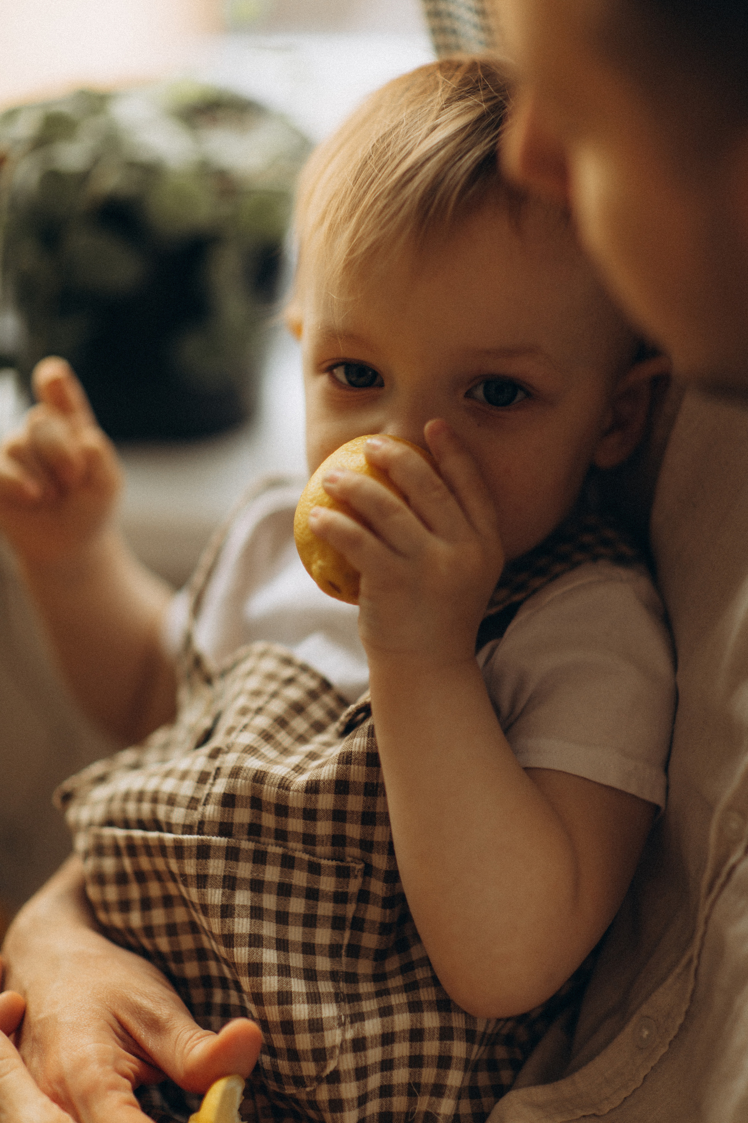 Ваня, Марина, Артем. Семейный фотограф Оля Гладченко