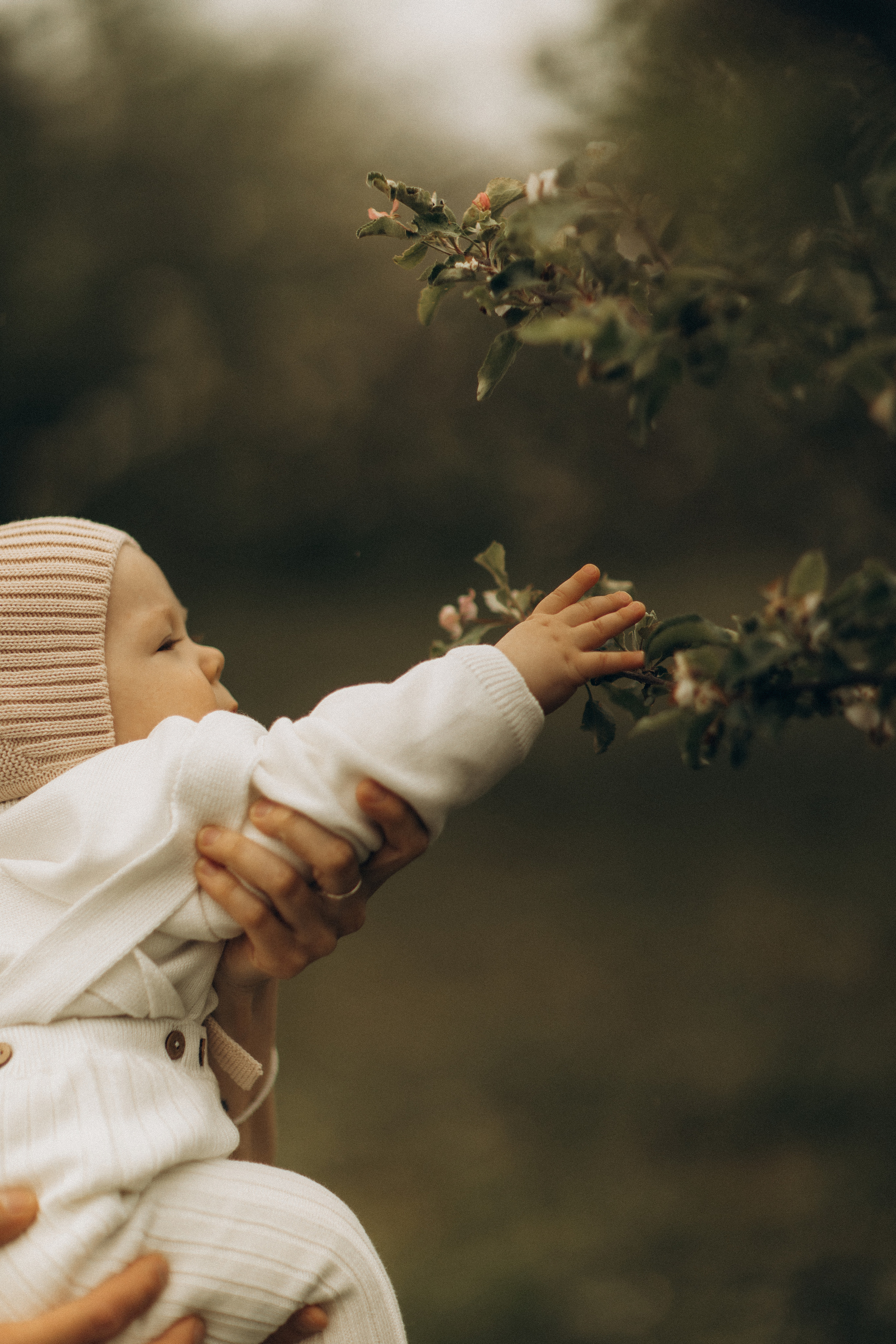 Маша, Ваня, Даня. Семейный фотограф Оля Гладченко