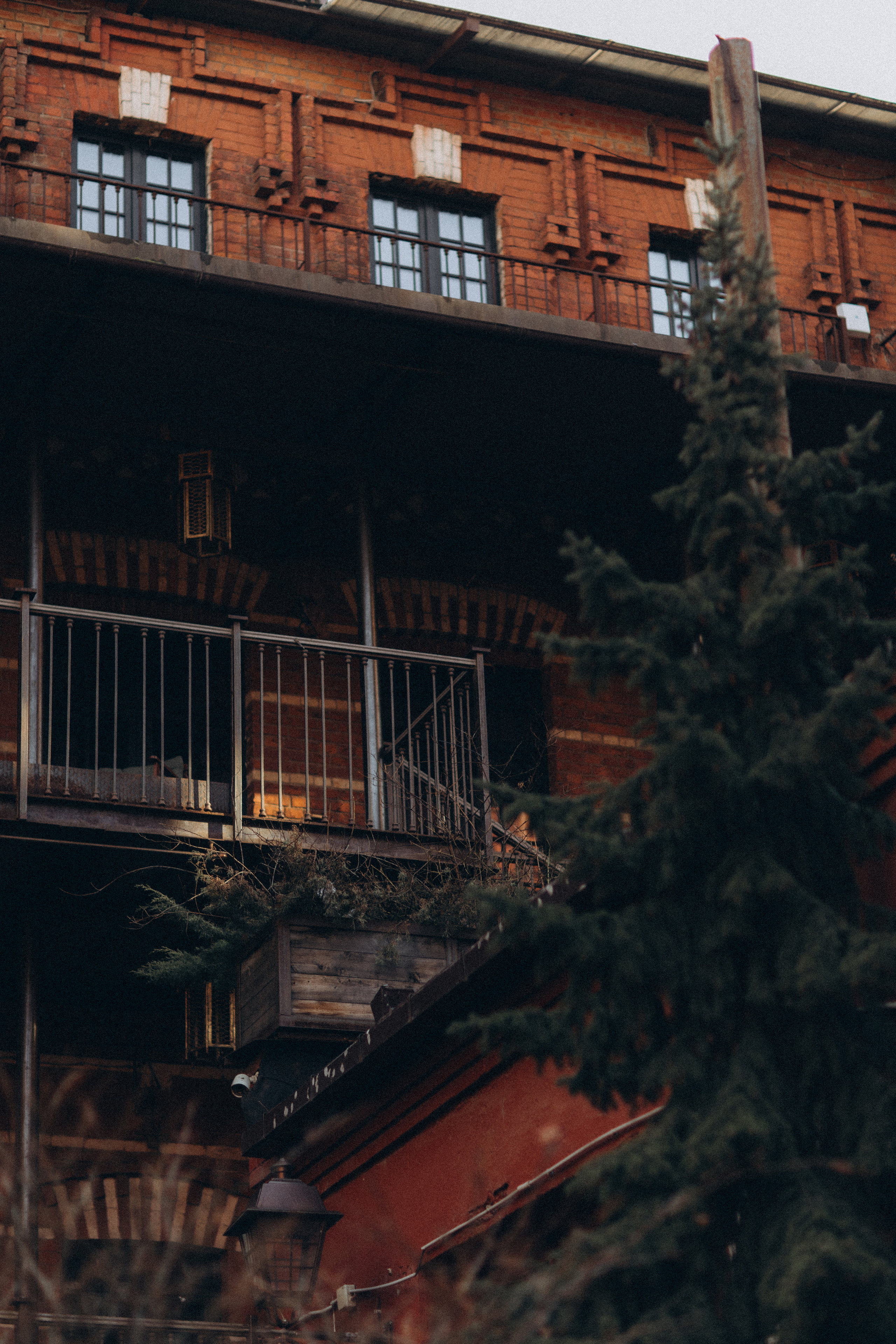 Аксения, Оливия. Семейный фотограф Оля Гладченко