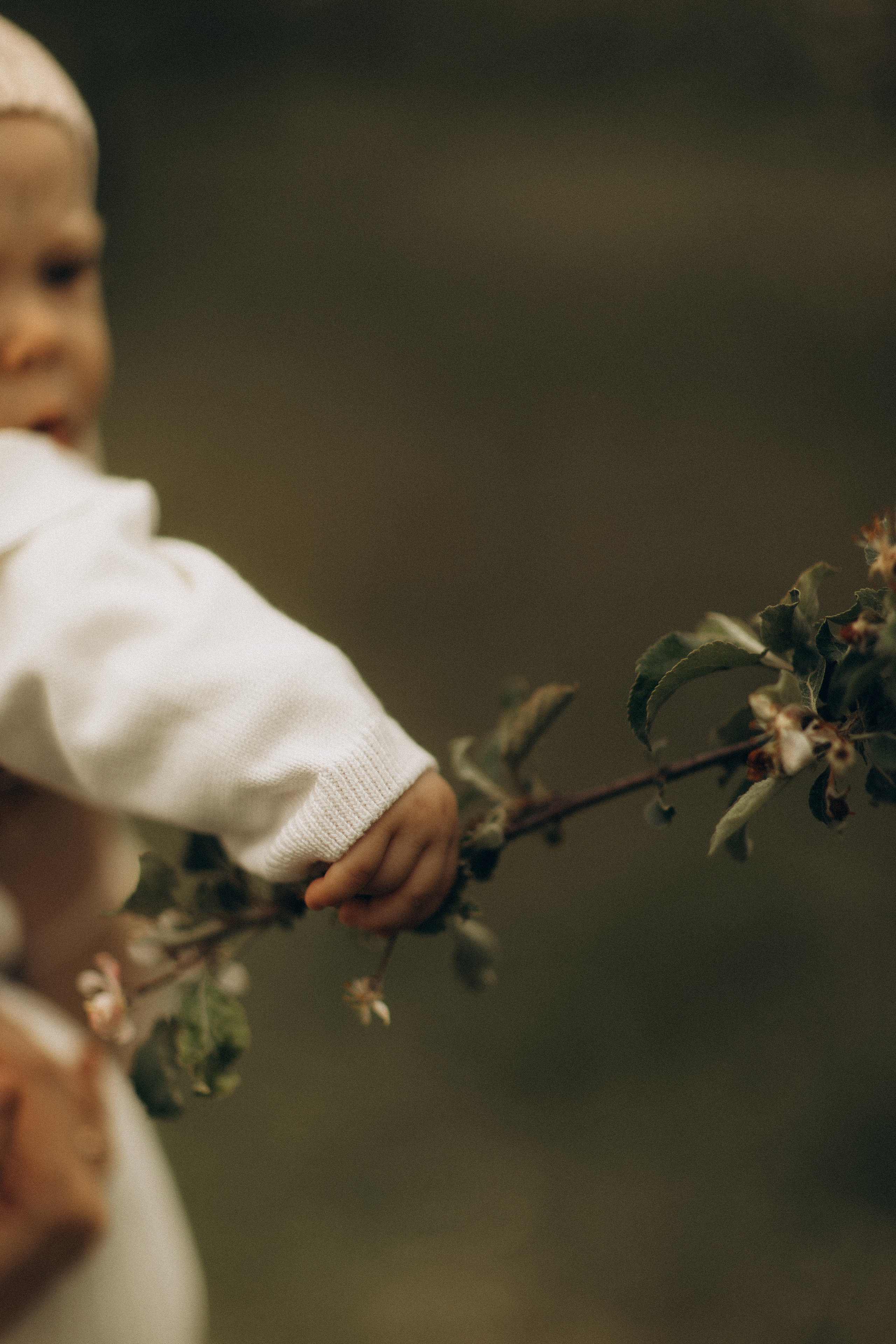 Маша, Ваня, Даня. Семейный фотограф Оля Гладченко