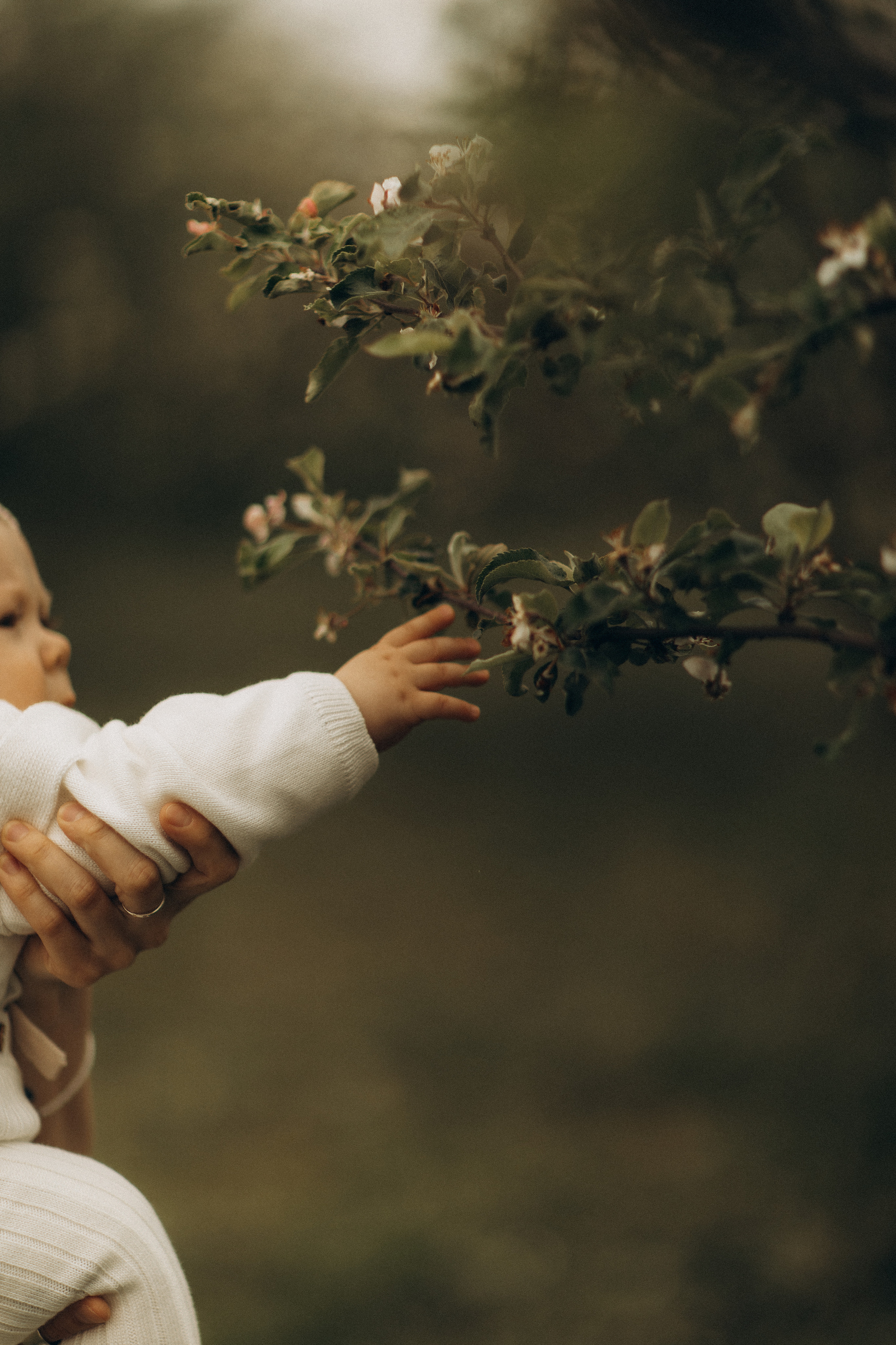 Маша, Ваня, Даня. Семейный фотограф Оля Гладченко
