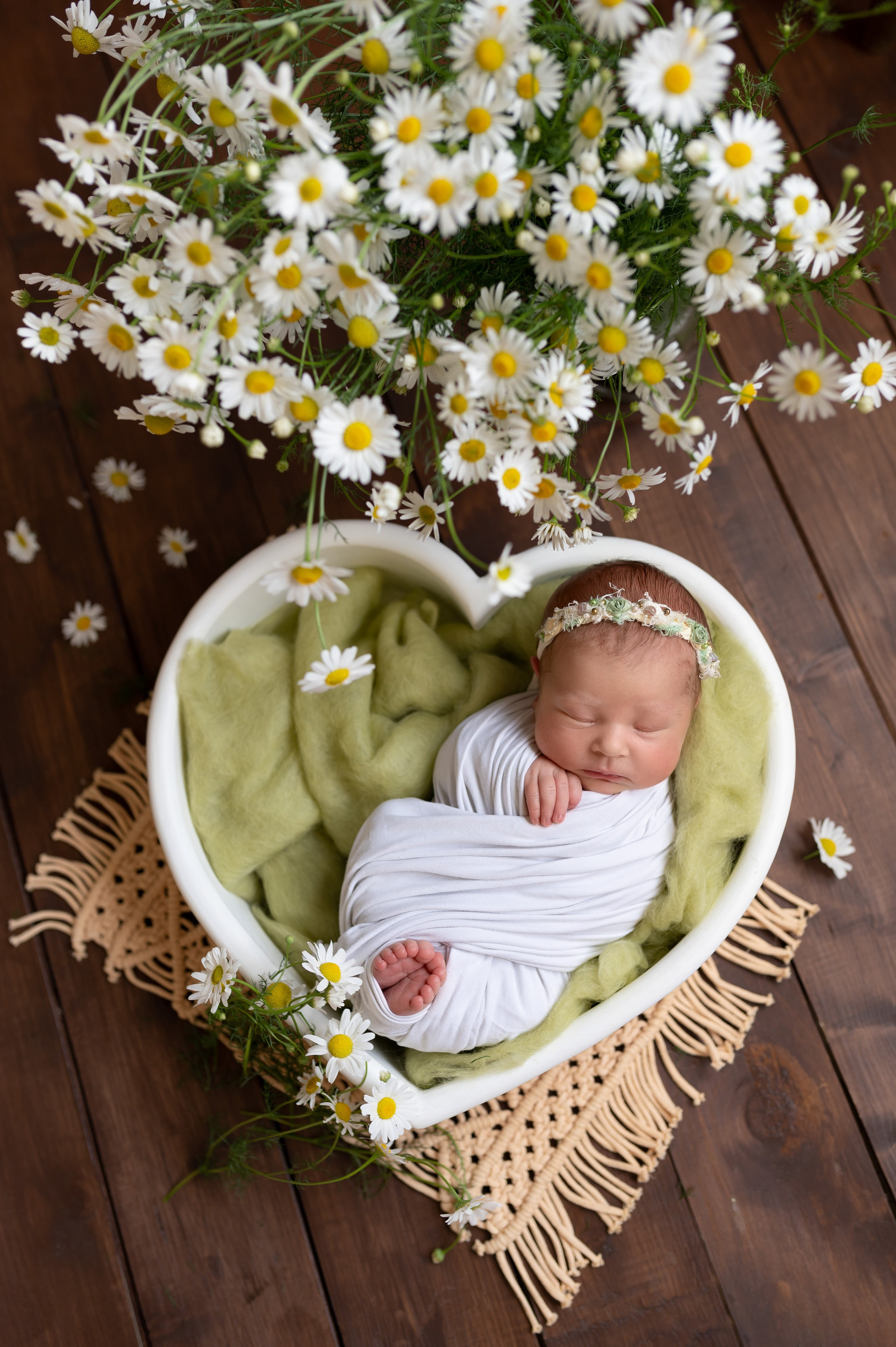 Новорожденные девочки. Детский фотограф в городе Жуковский Алиса Коробанова