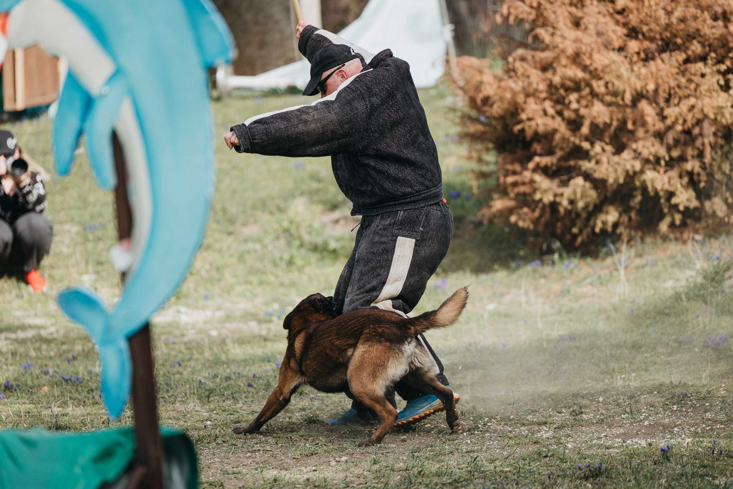 Геленджик Мондьоринг. Фотограф-анималист Анна Маринич