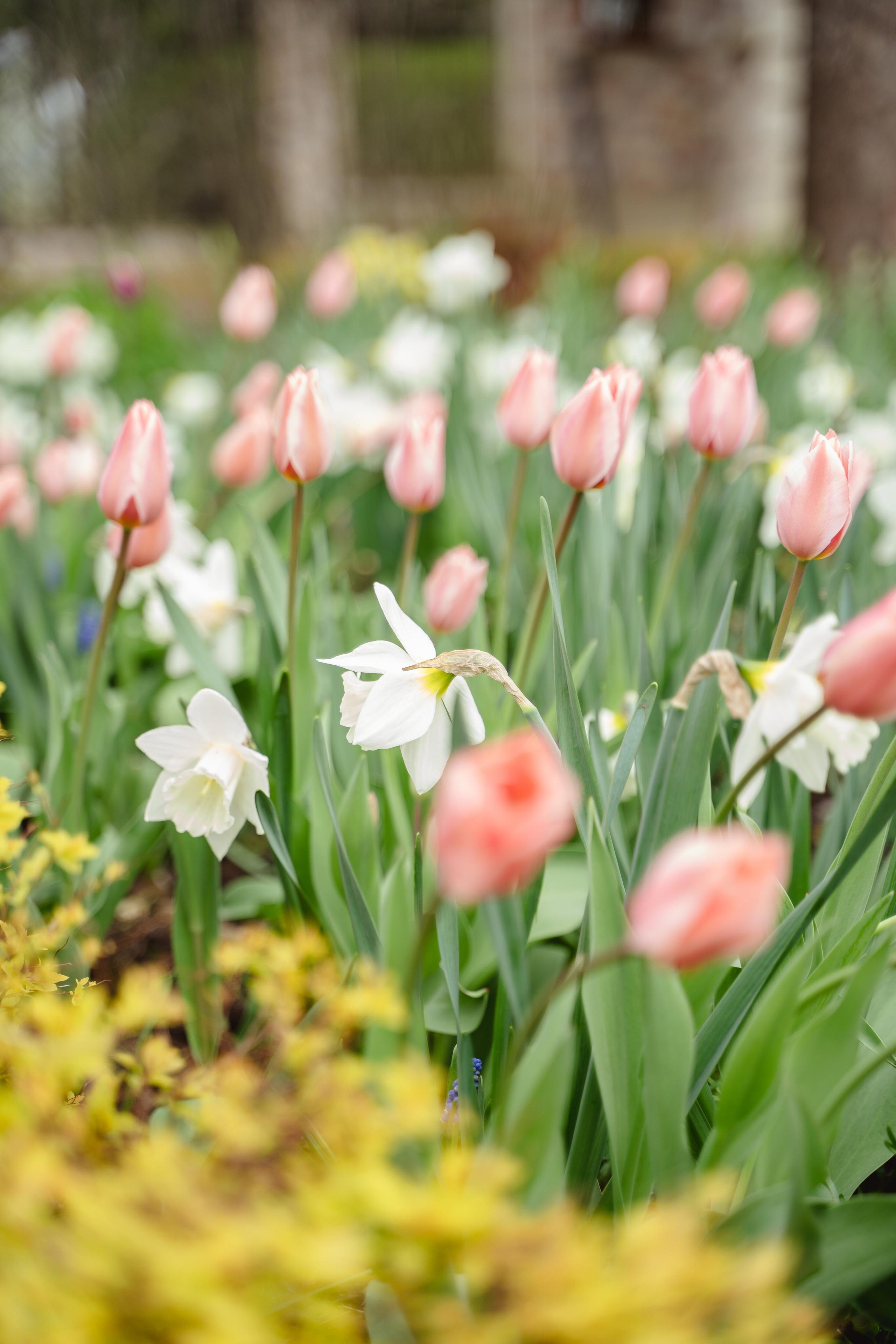 Михаил и Юлия — оловянная свадьба. Свадебный и семейный фотограф в Пскове и Острове Света Суворова