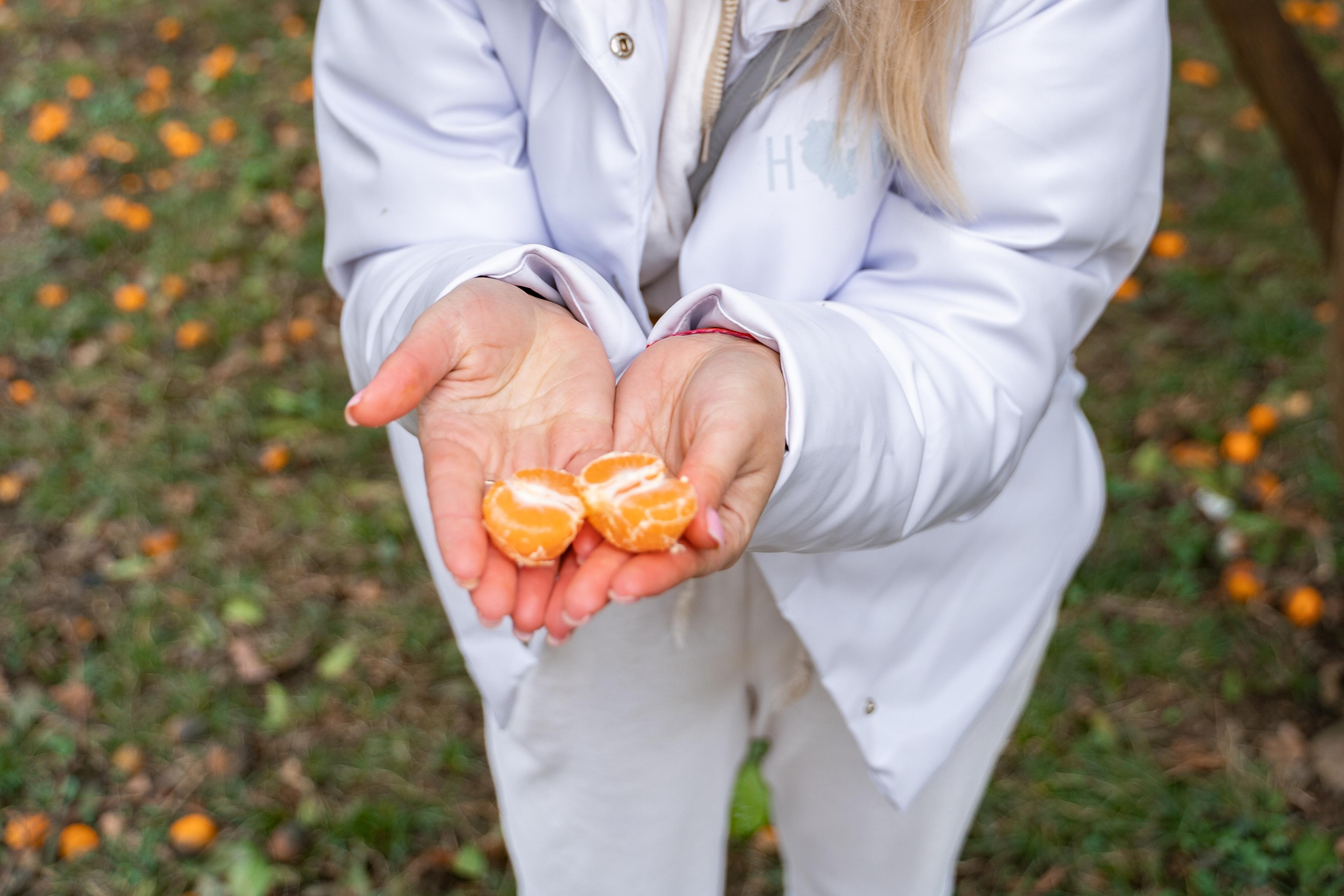 Фототур Сочи и Абхазия. Свадебный и семейный фотограф в Пскове и Острове Света Суворова
