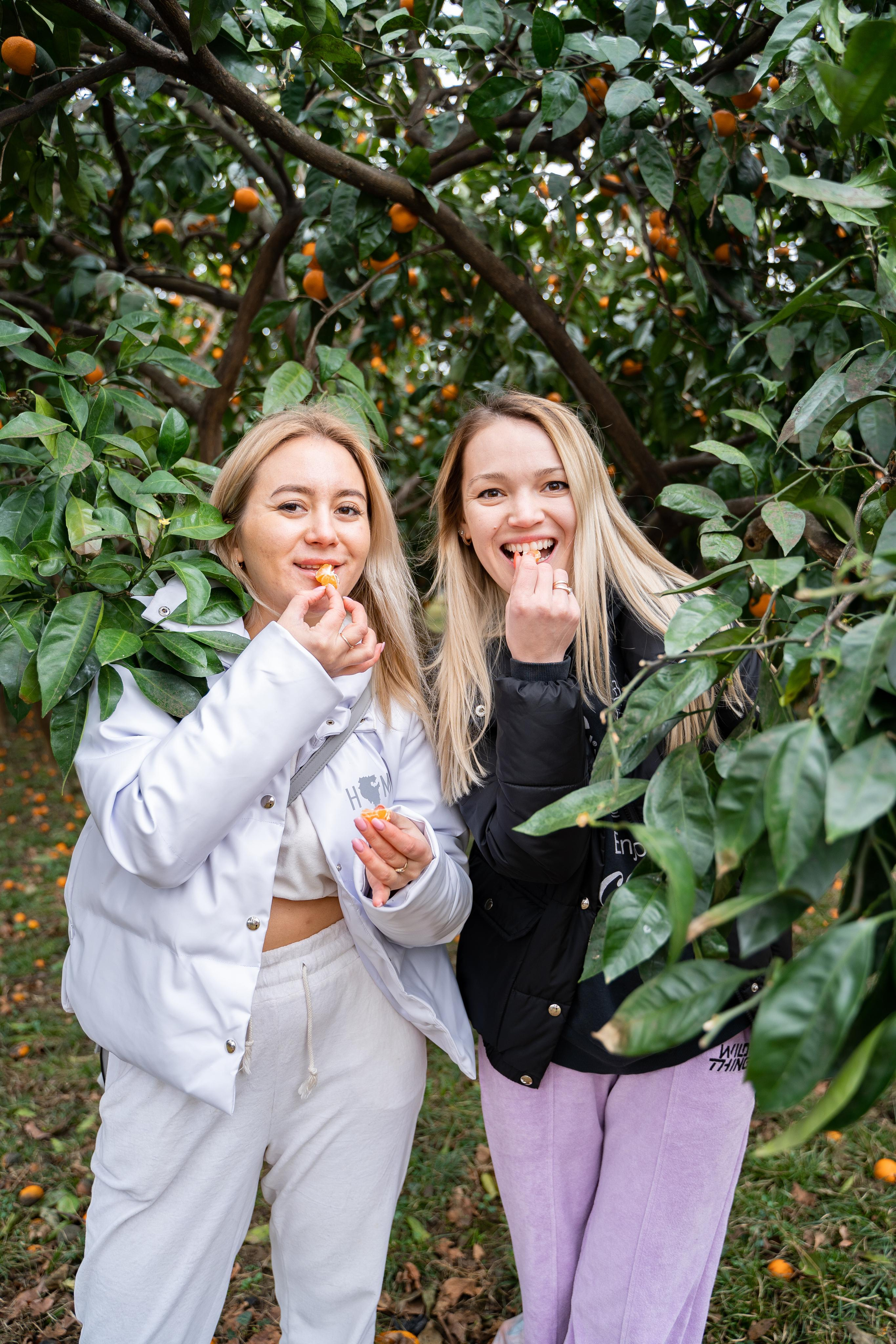 Фототур Сочи и Абхазия. Свадебный и семейный фотограф в Пскове и Острове Света Суворова