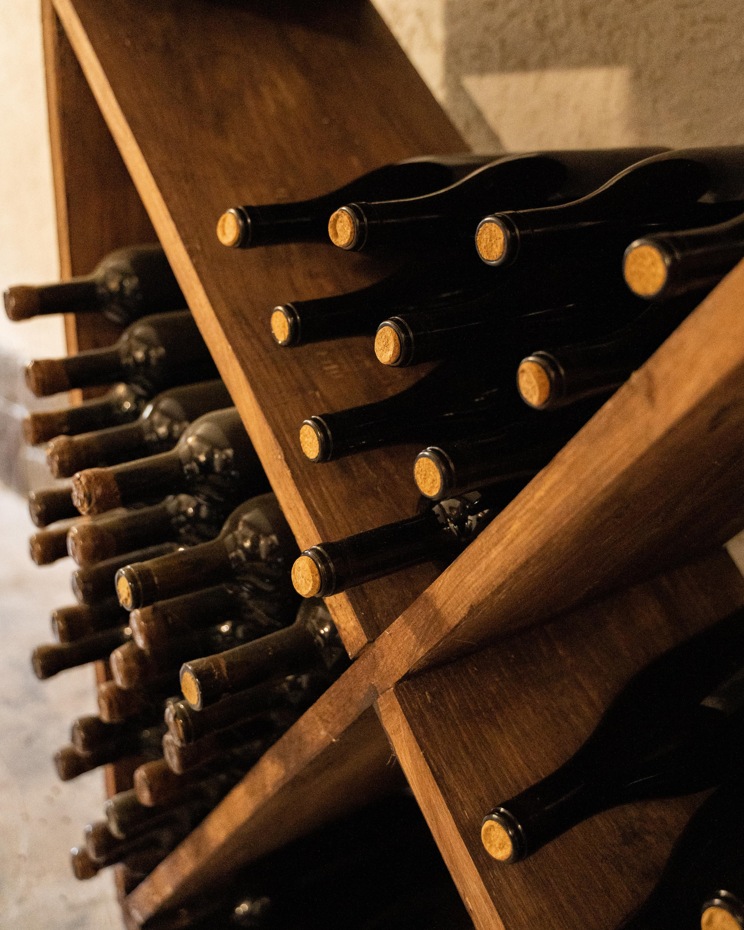 Фототур Сочи и Абхазия. Свадебный и семейный фотограф в Пскове и Острове Света Суворова