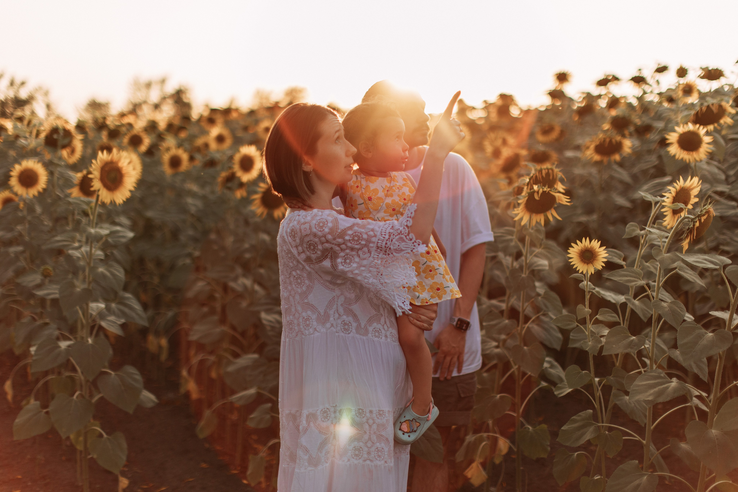 Море подсолнухов. Фотограф Катя Дубовик