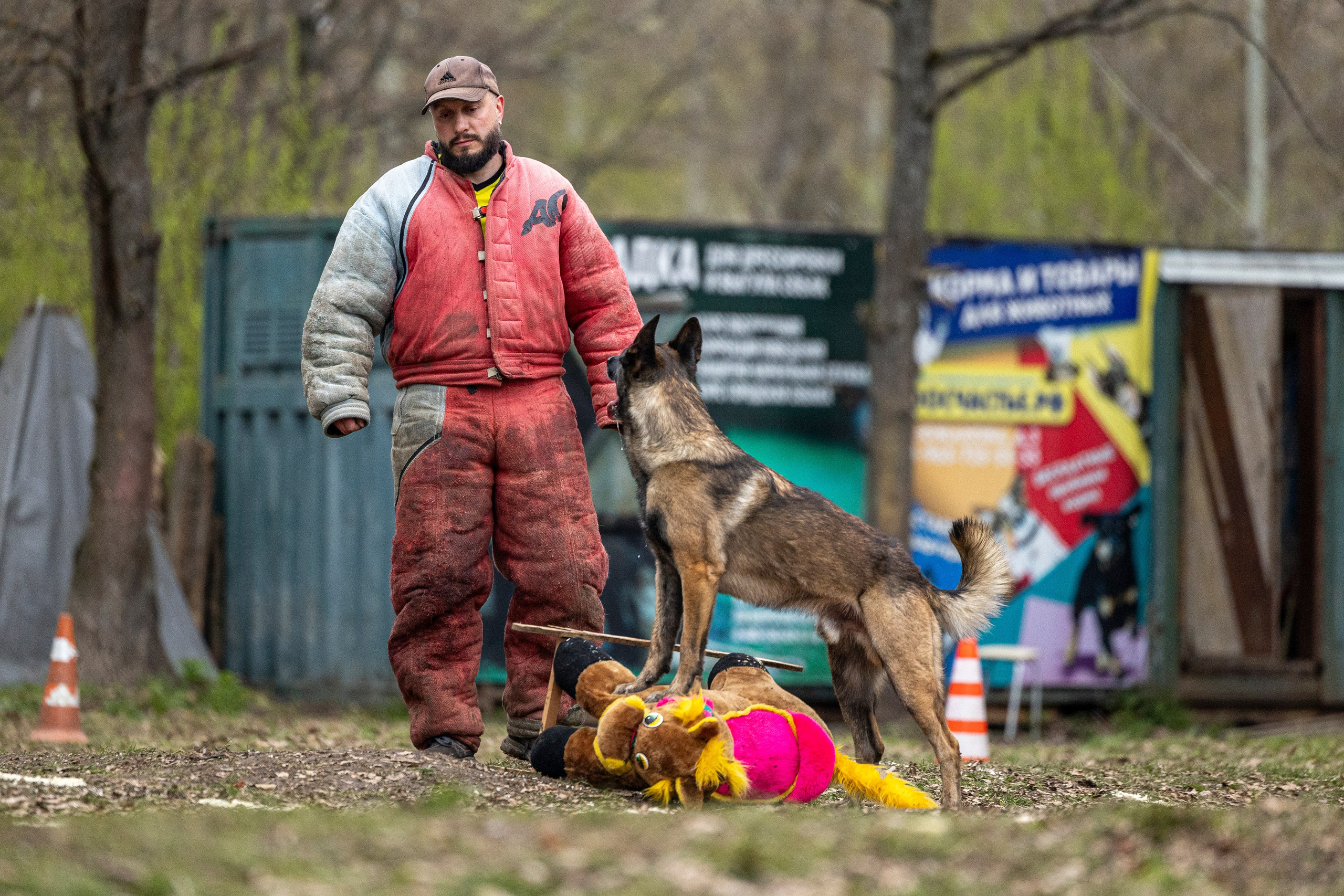 Квалификационные состязания по мондьорингу г. Вологда 11.05.24. Фотограф-анималист Анна Маринич