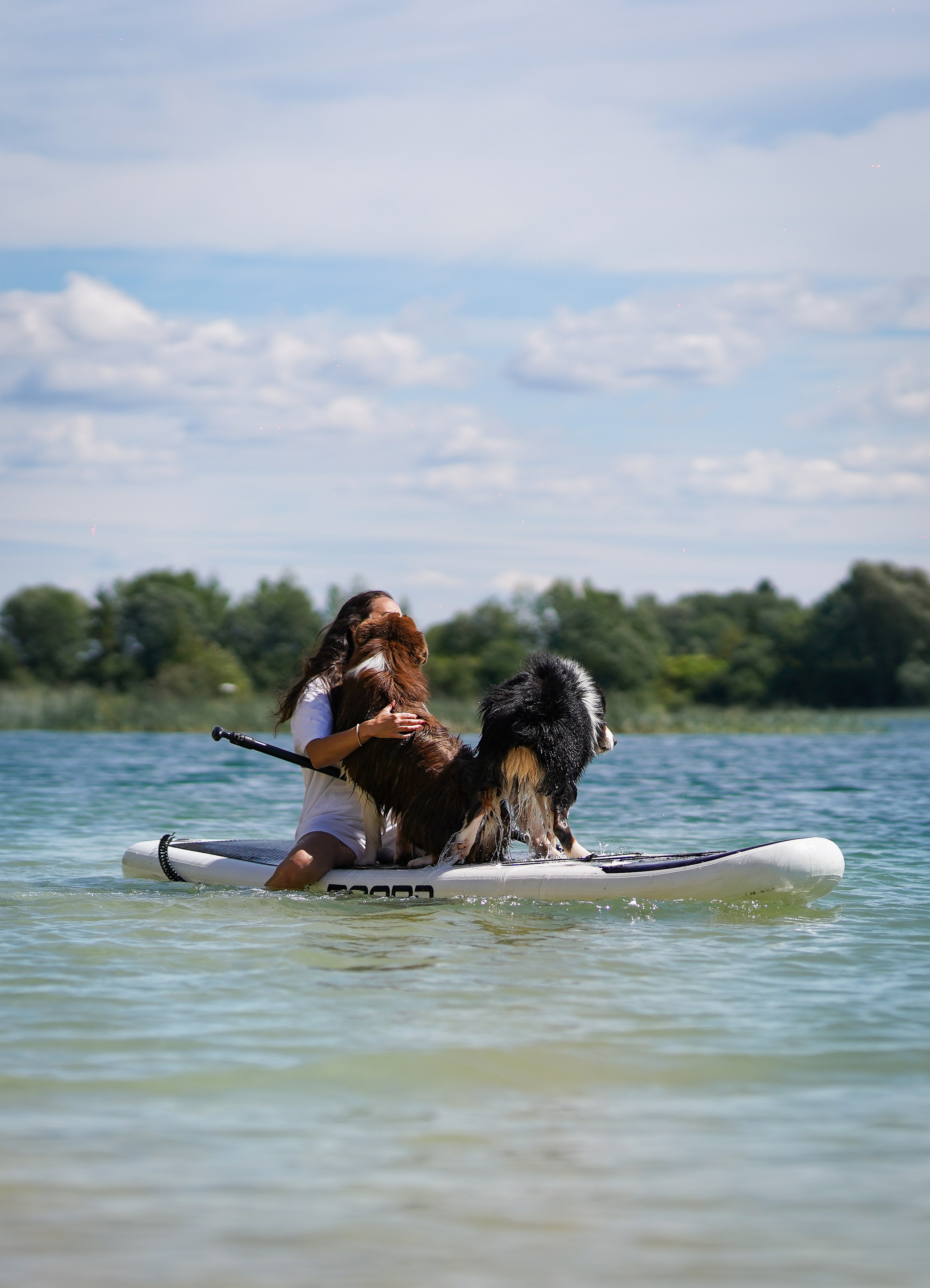 Аусси на карьерах. Фотограф-анималист в Санкт-Петербурге Яна Мартынова