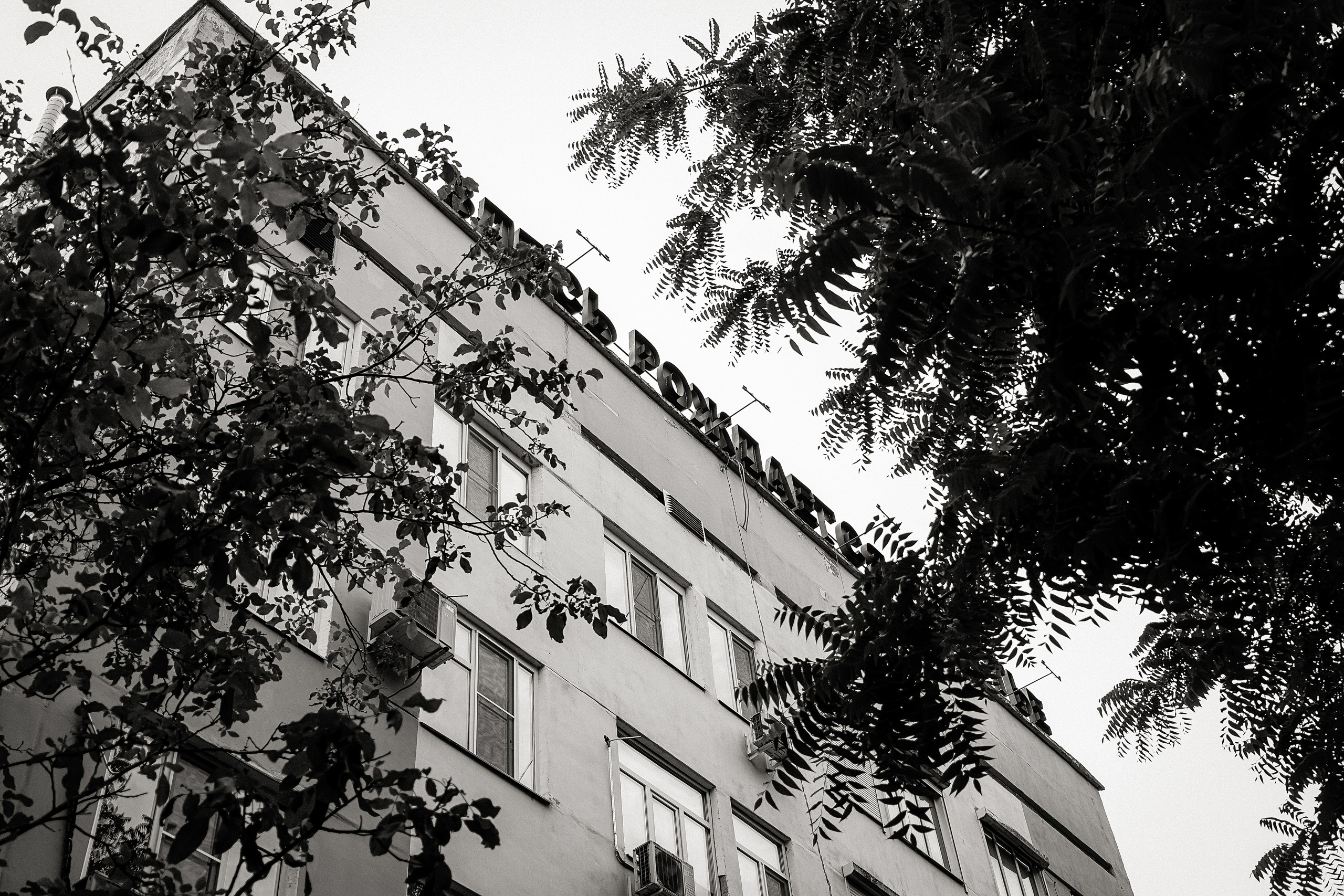 Выписка. Https://malovafoto.ru