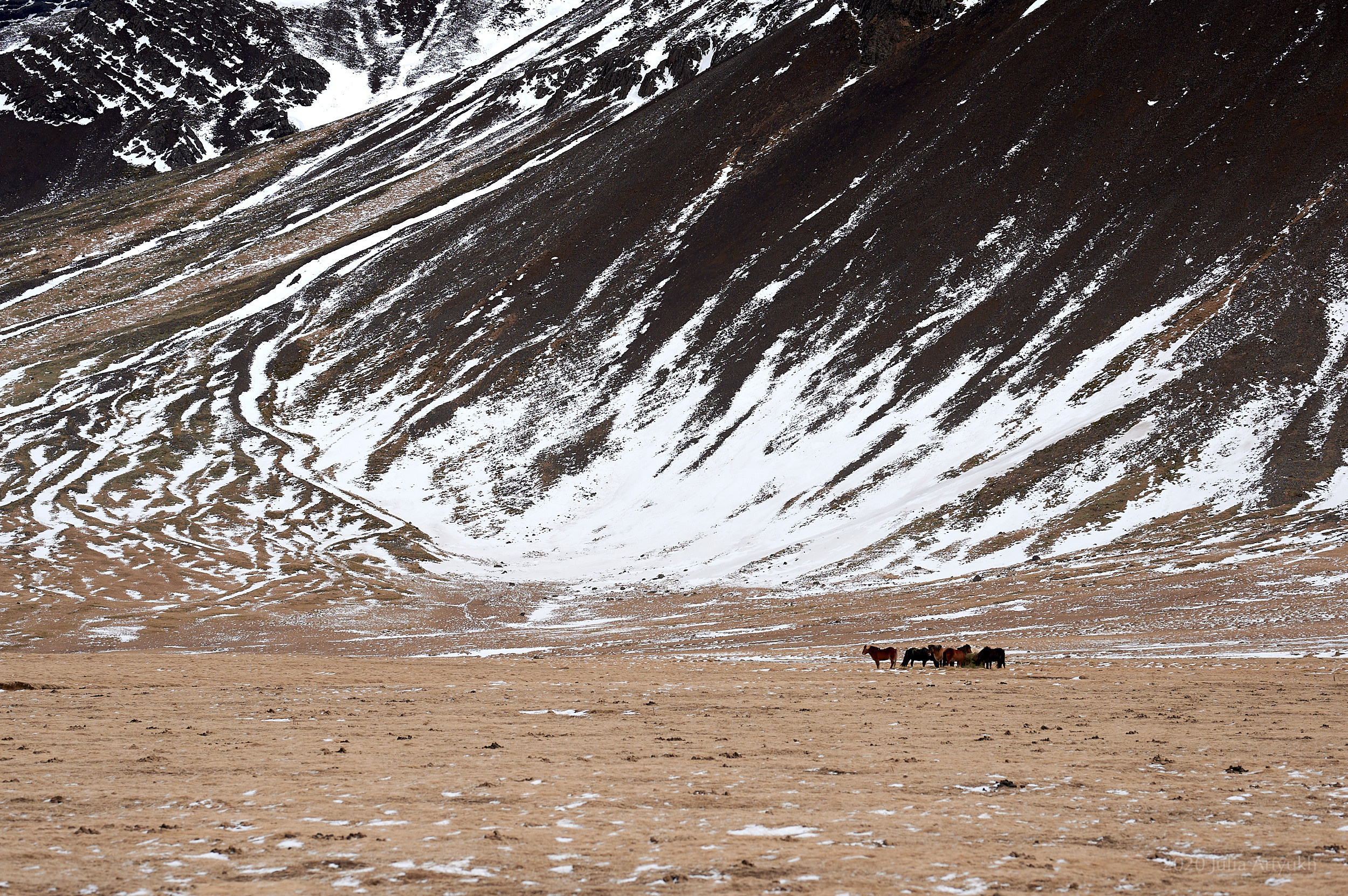 Творческое фото. Творческая фотография Юлии Артюх, Москва