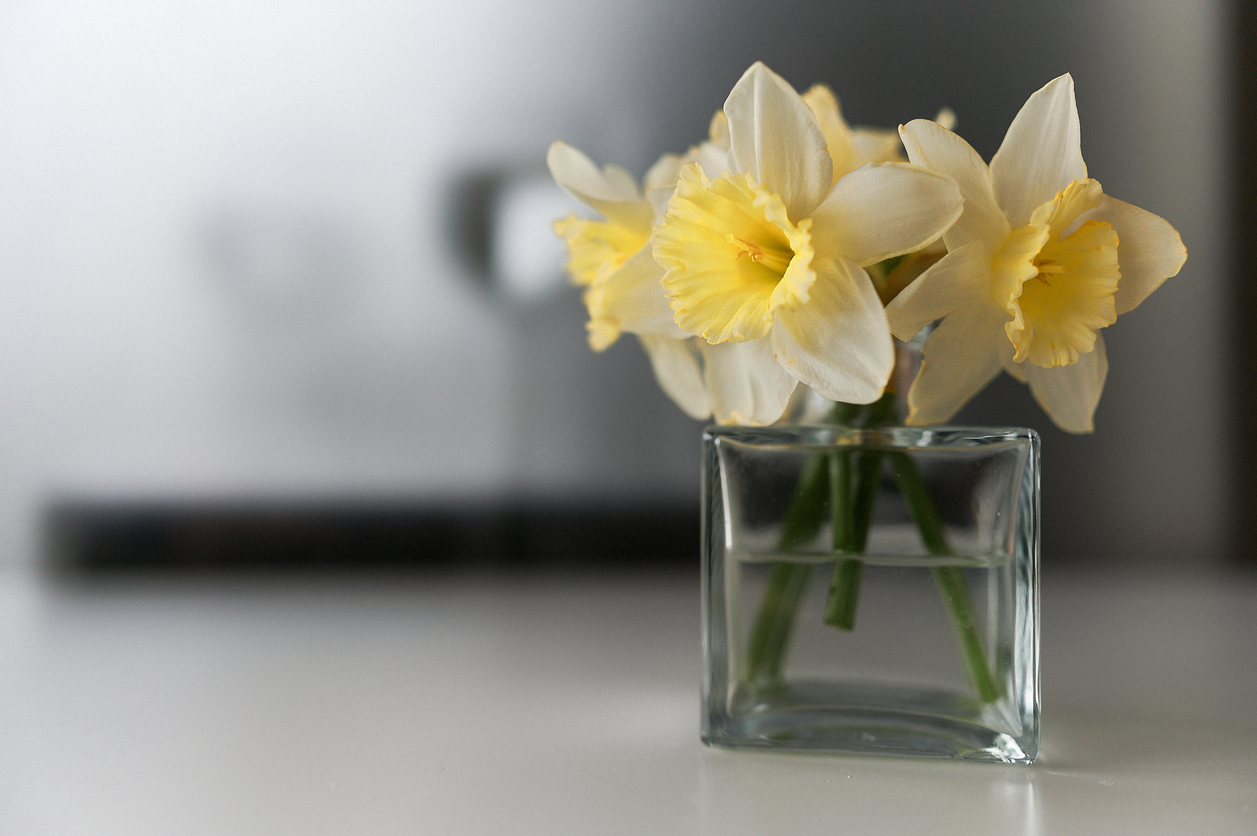 Творческое фото. Творческая фотография Юлии Артюх, Москва
