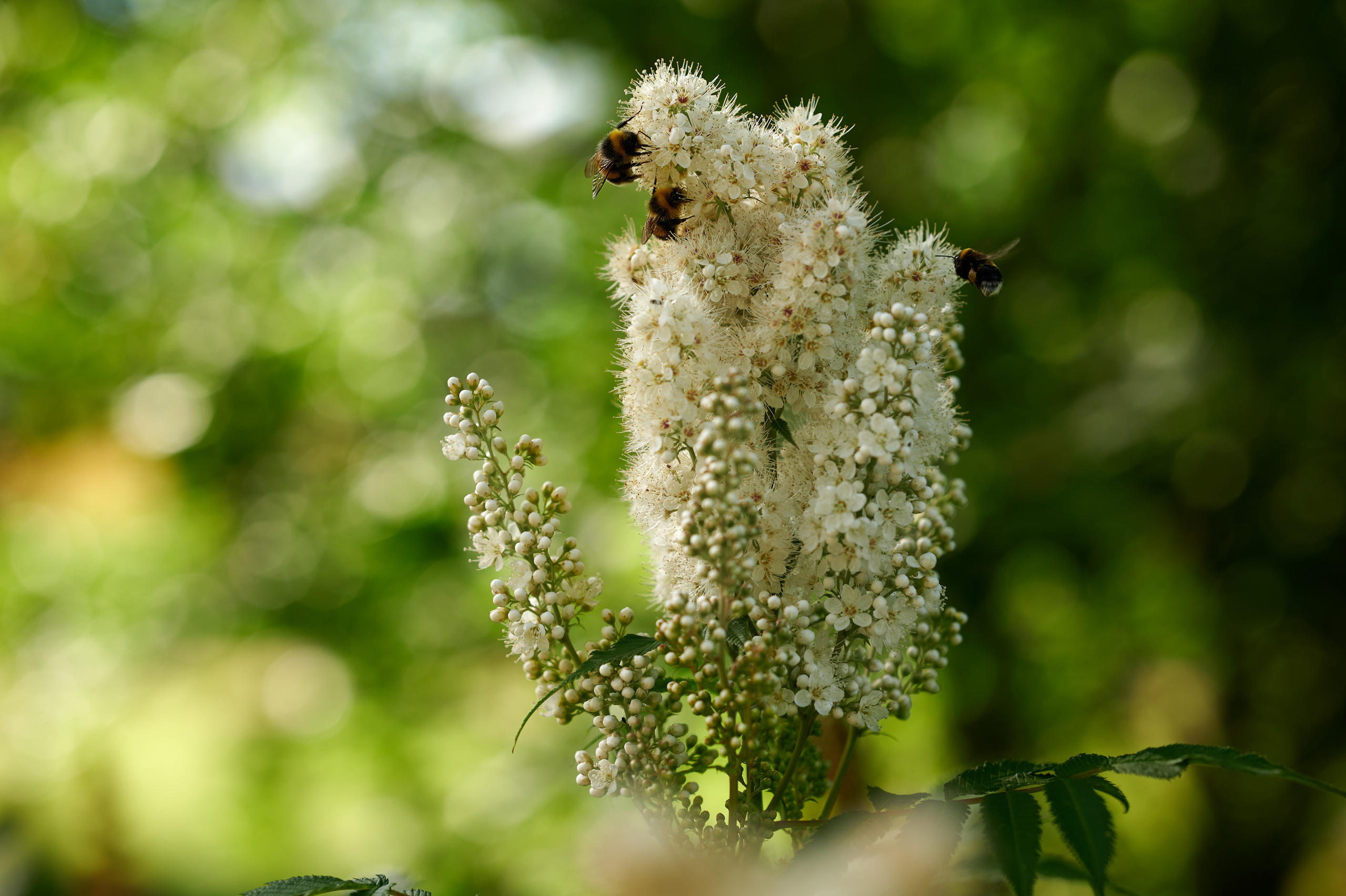 Детская фотография. Творческая фотография Юлии Артюх, Москва