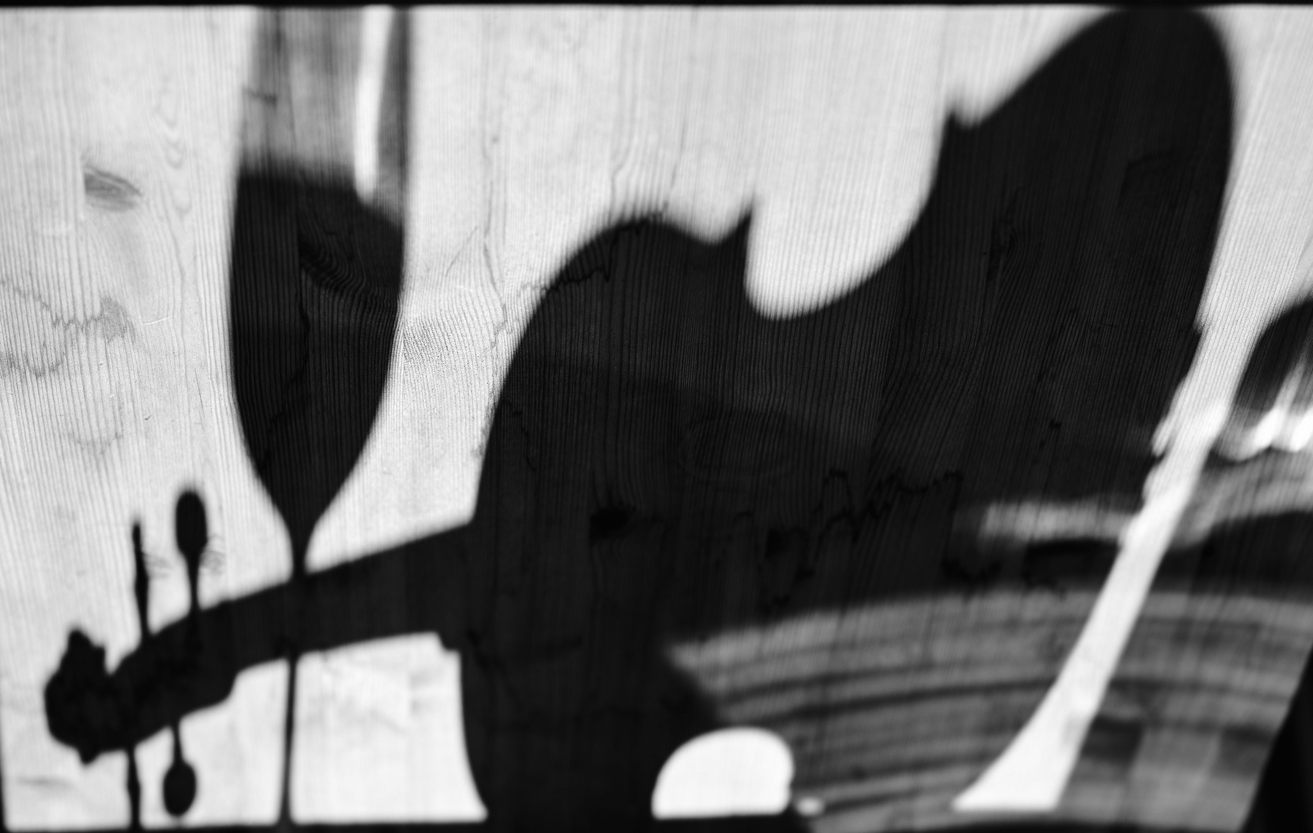 Творческое фото. Творческая фотография Юлии Артюх, Москва