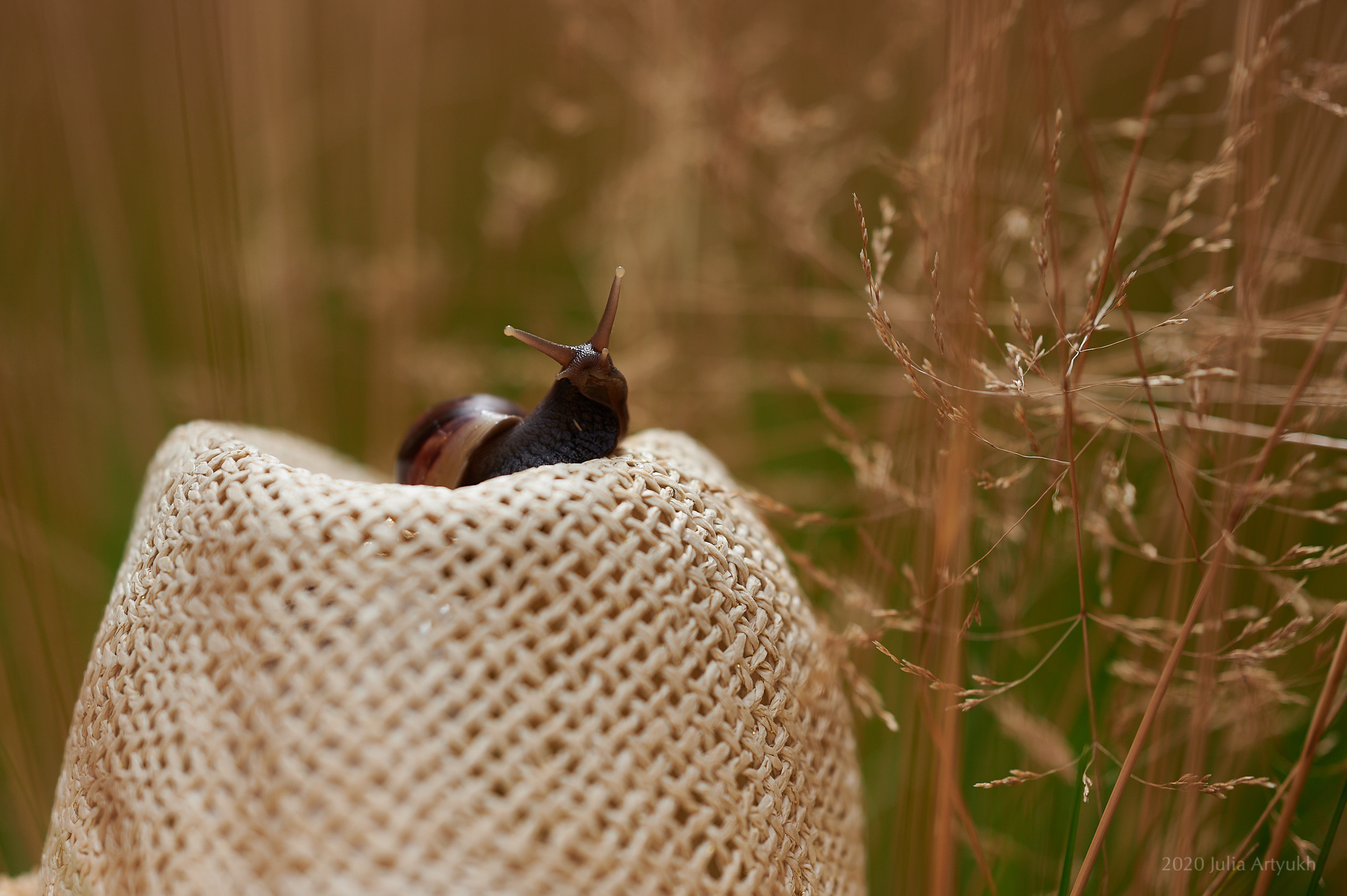 Детская фотография. Творческая фотография Юлии Артюх, Москва