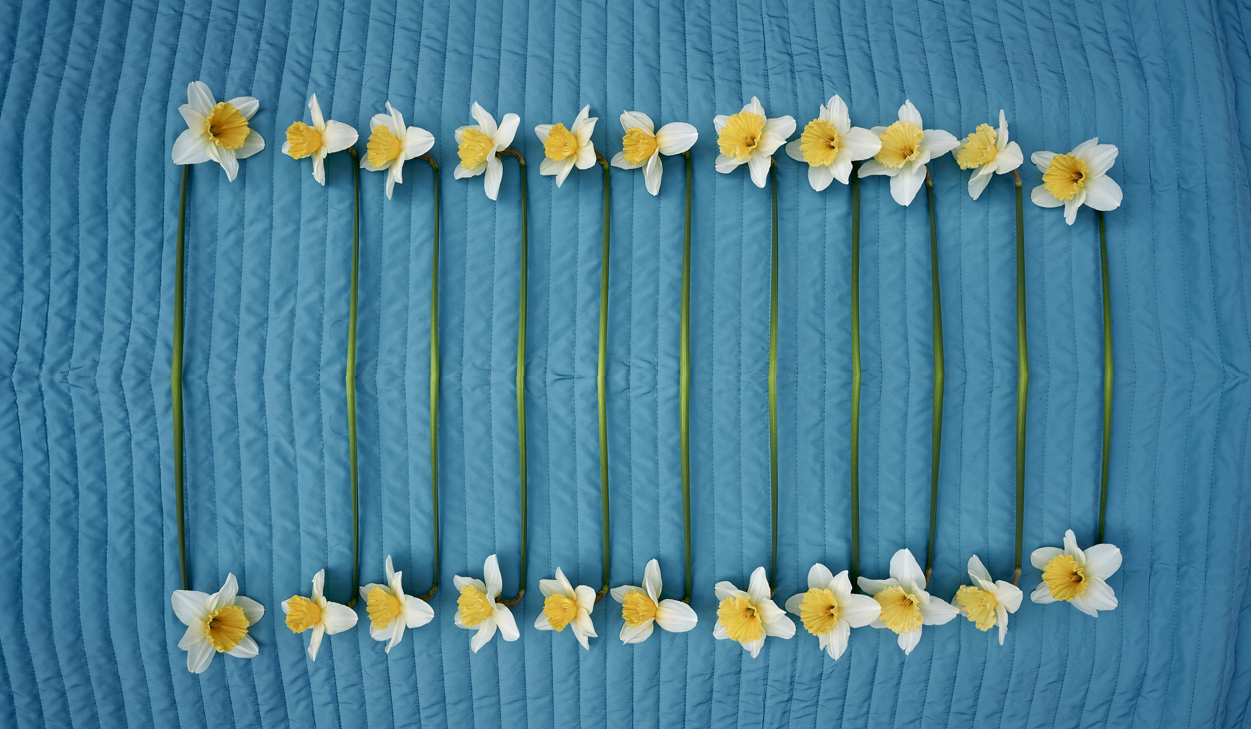 Цвет, свет и идеи. Творческая фотография Юлии Артюх, Москва