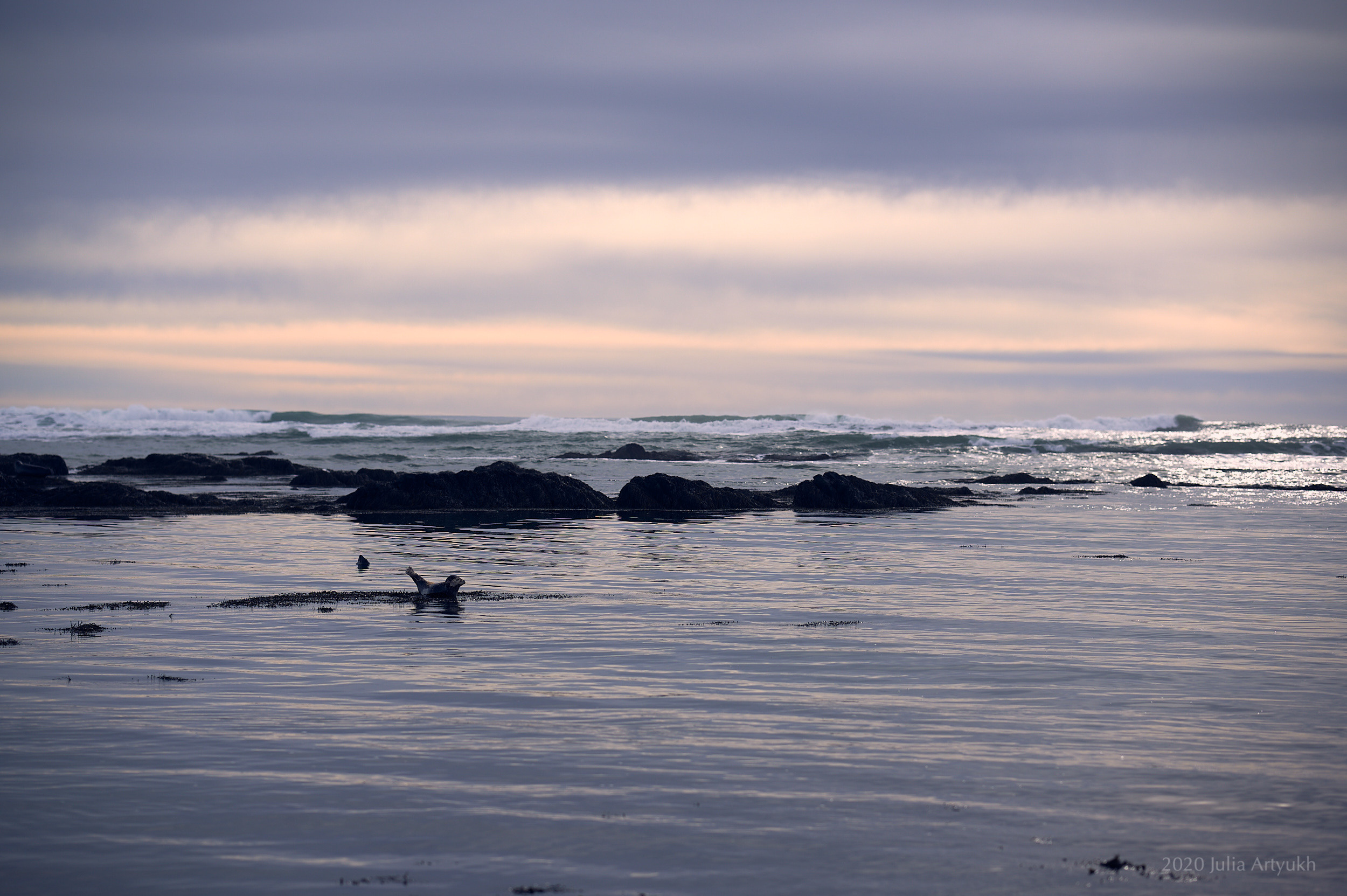 Творческое фото. Творческая фотография Юлии Артюх, Москва