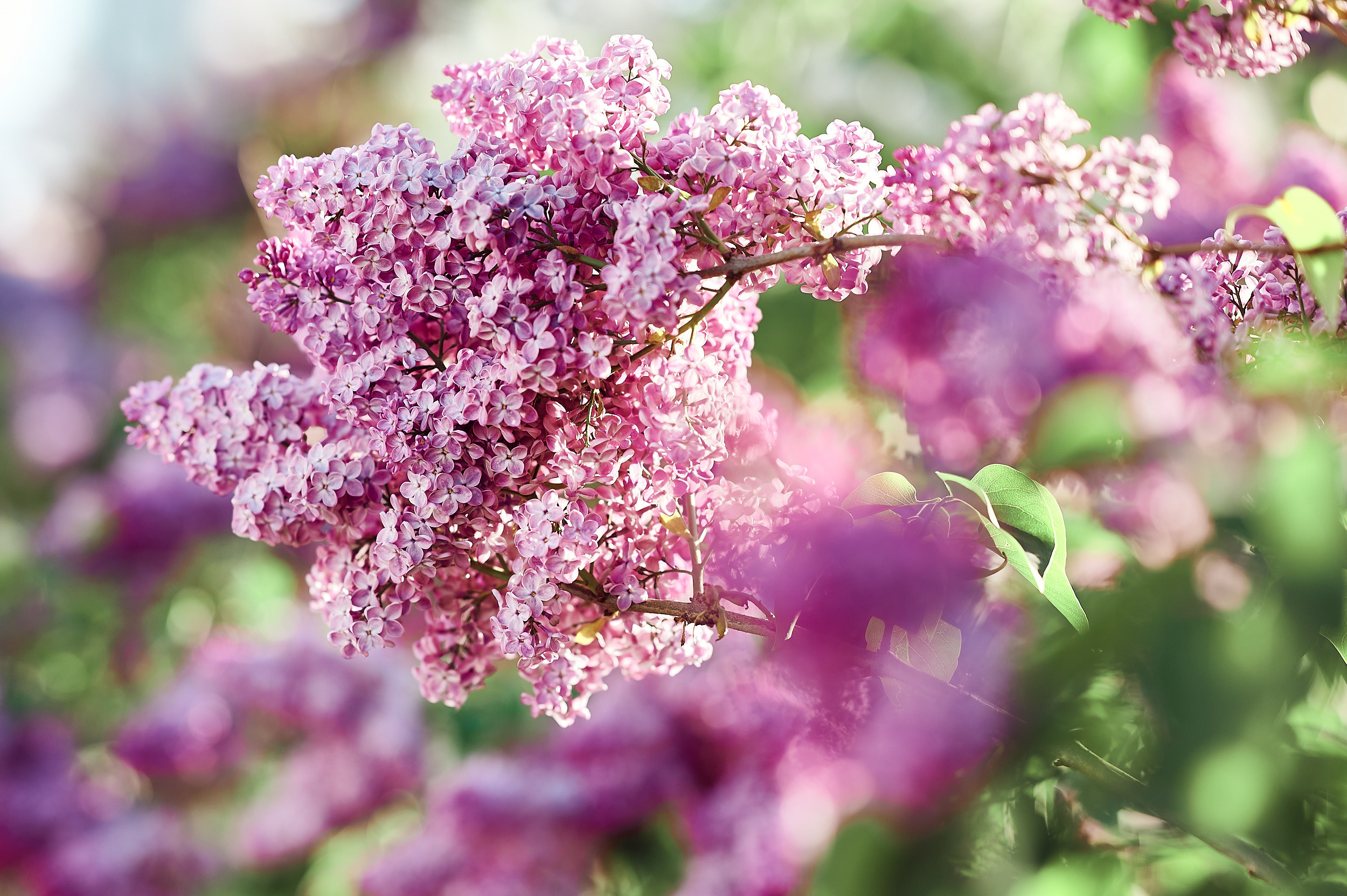 Истории. Творческая фотография Юлии Артюх, Москва