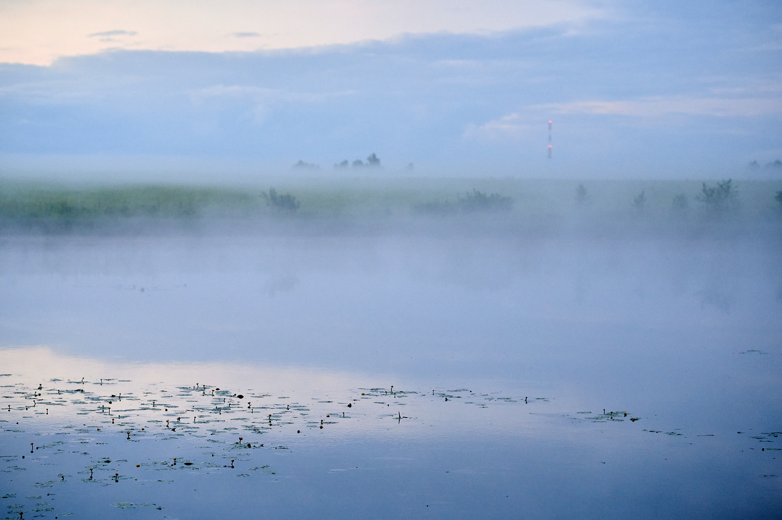Цвет, свет и идеи. Творческая фотография Юлии Артюх, Москва
