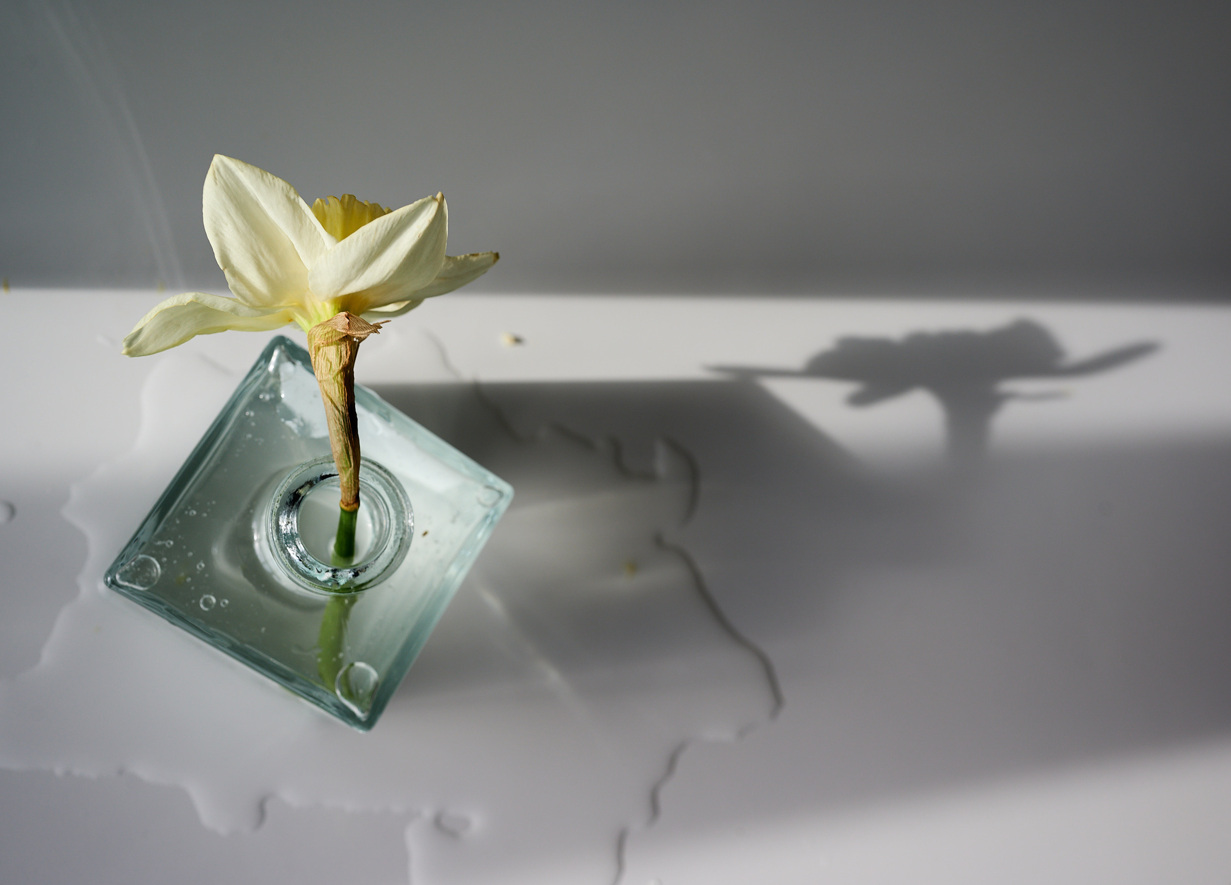 Творческое фото. Творческая фотография Юлии Артюх, Москва