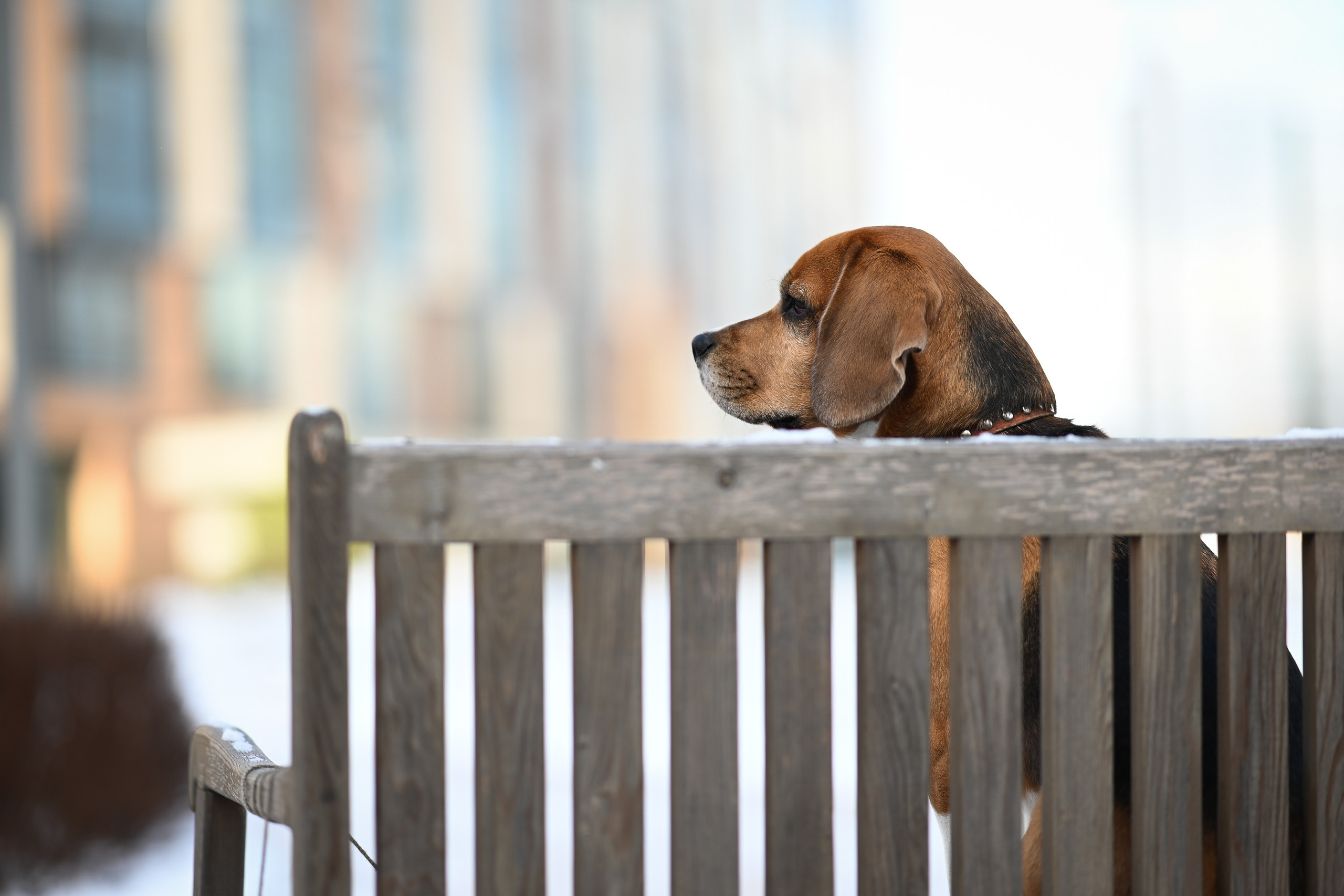 Детская фотография. Творческая фотография Юлии Артюх, Москва