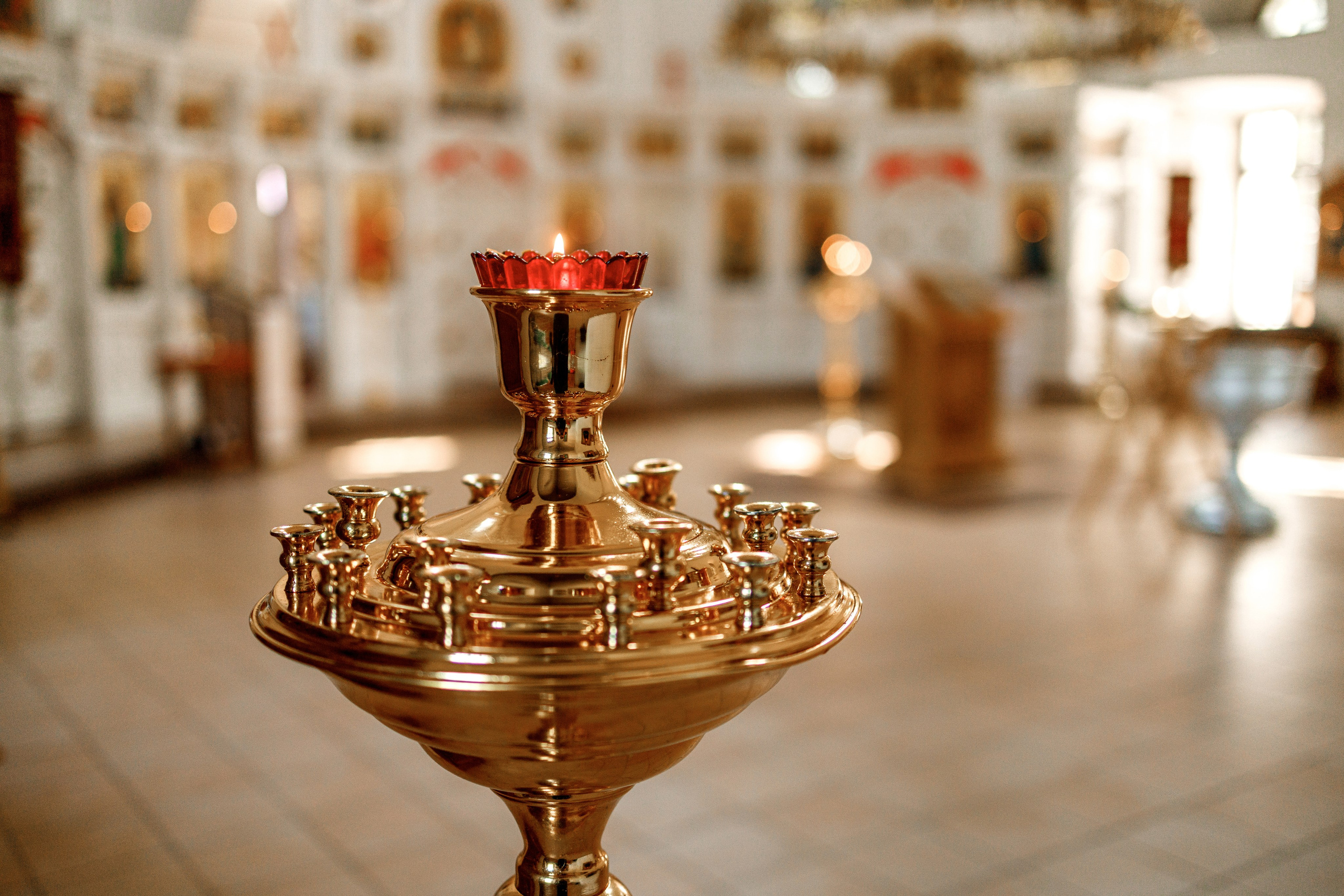 Димитриевский храм. Свадебный и семейный фотограф в Туле и области Маша Костина