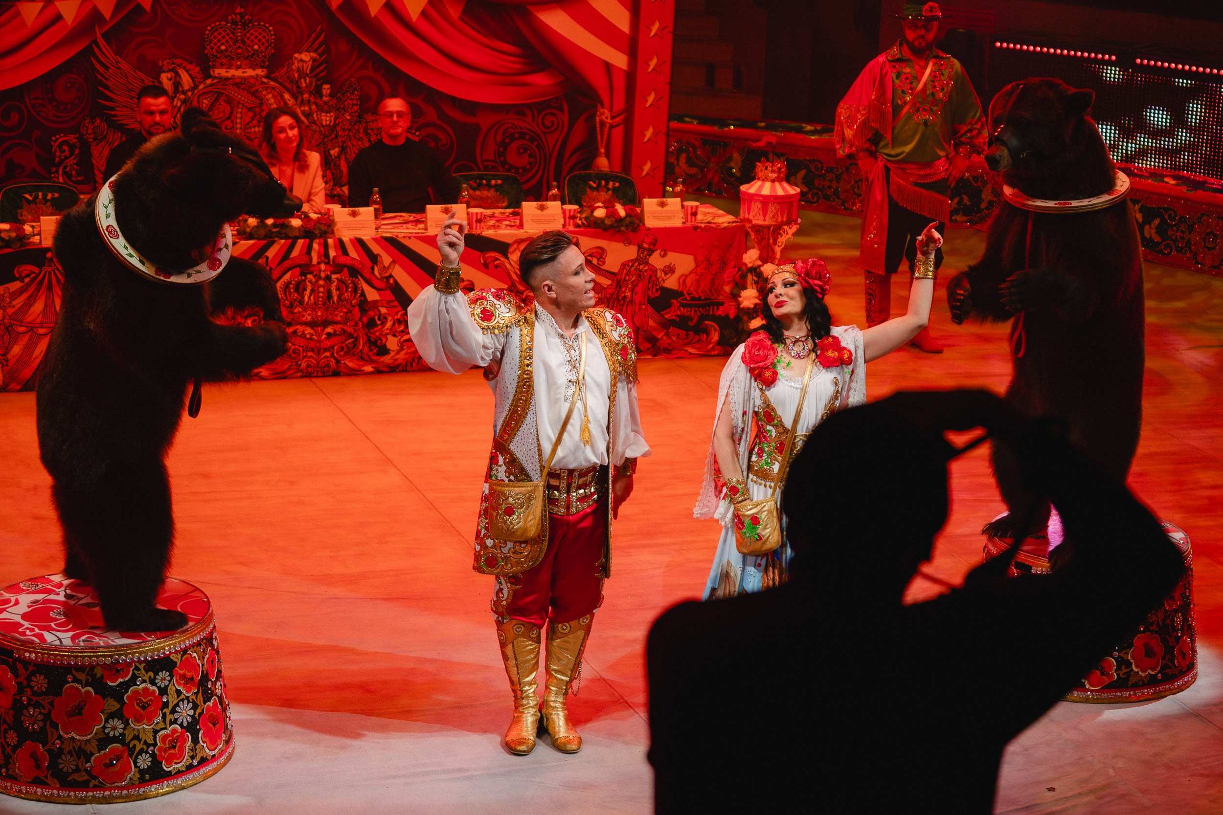 5 Континентов — Пресс-показ в Новосибирском Цирке. Воробьева Ксения — Спортивный и танцевальный фотограф Новосибирск