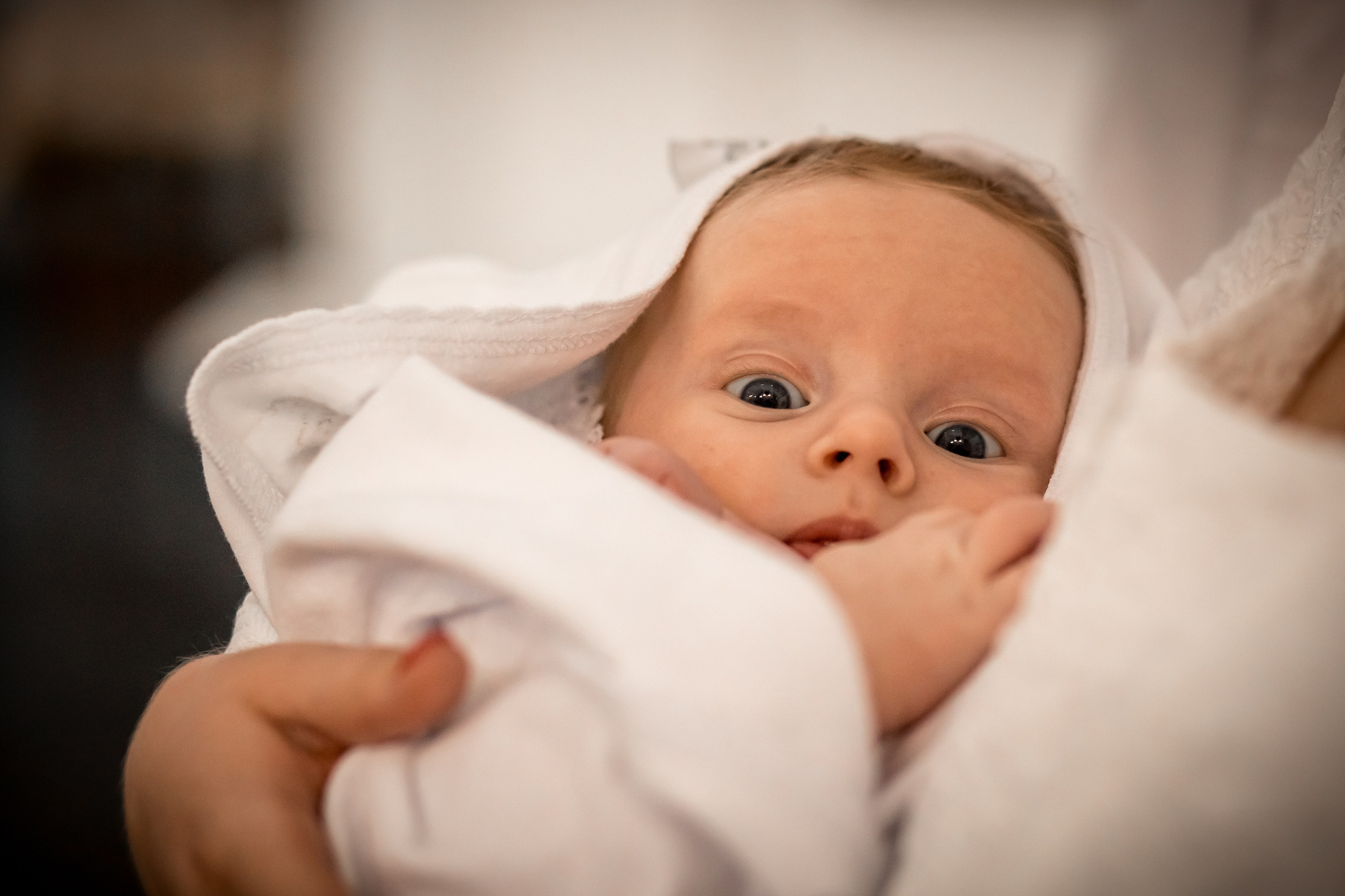 Крещение Льва